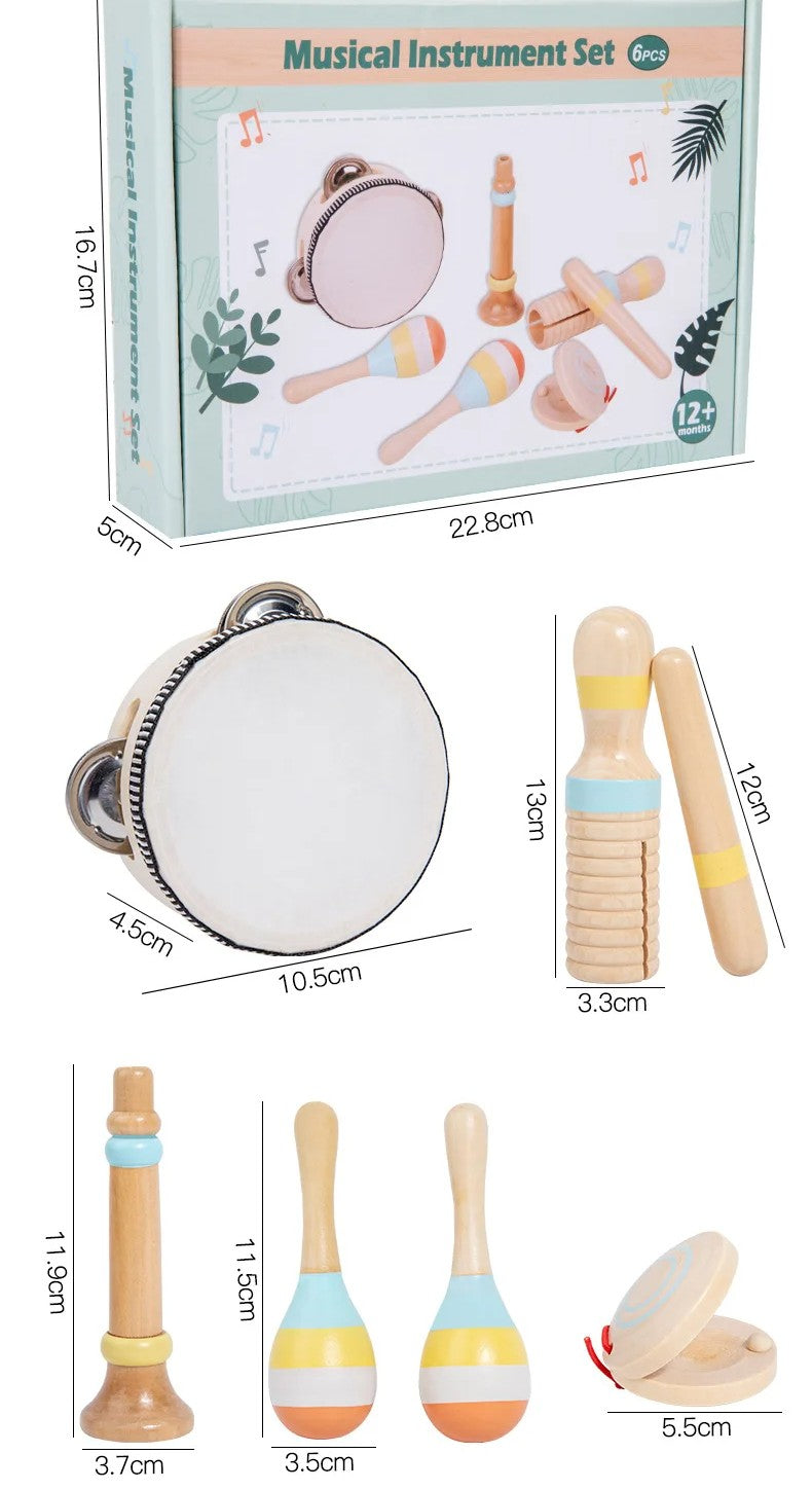 B049 - Musical instrument set 6-pcs set
