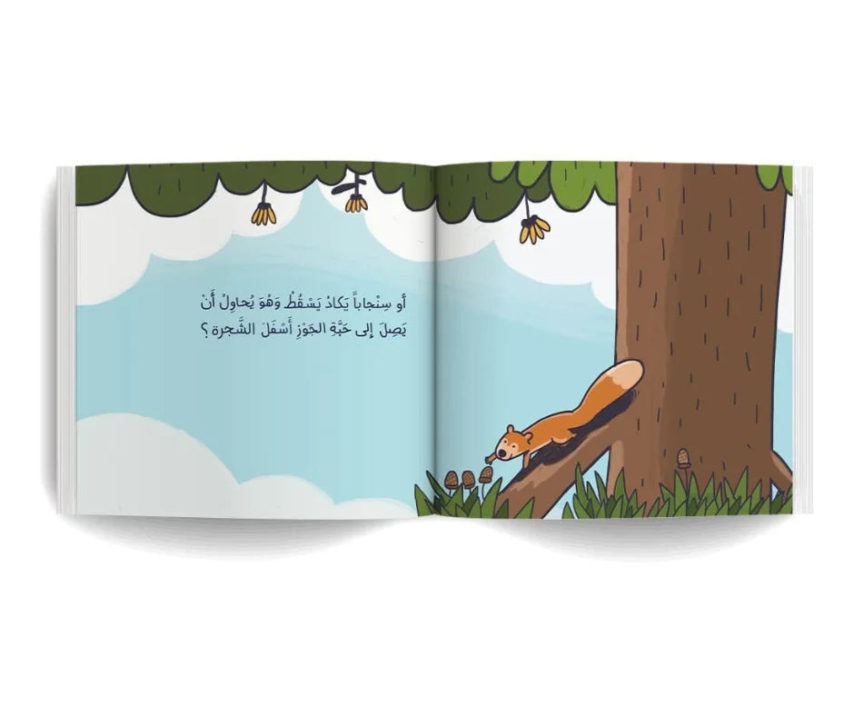 S098 - الغابة المقلوبة