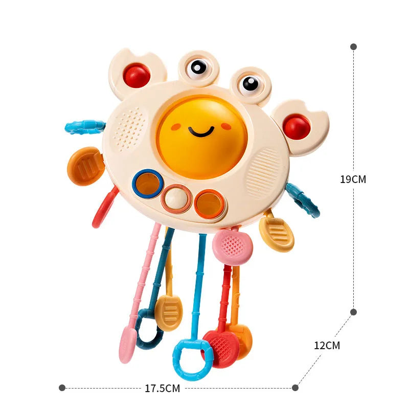 B052 - Baby crab pulling fun