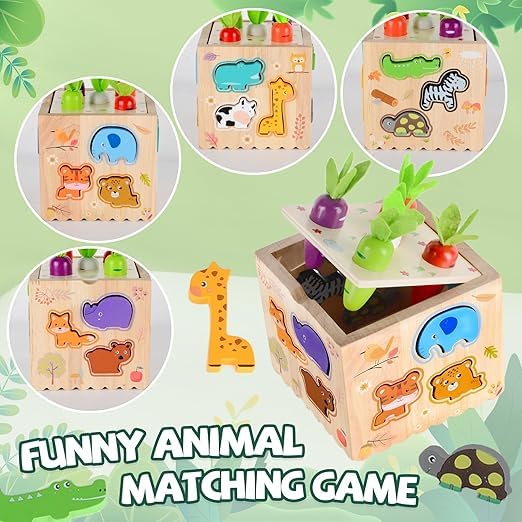 M312 - Multi-function 8 in 1 activity cube