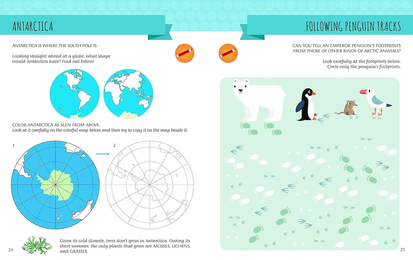L270 - Montessori : My First Book About THE WORLD