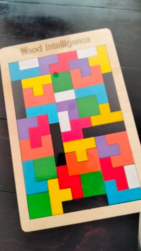 M065 - Wood intelligence puzzle
