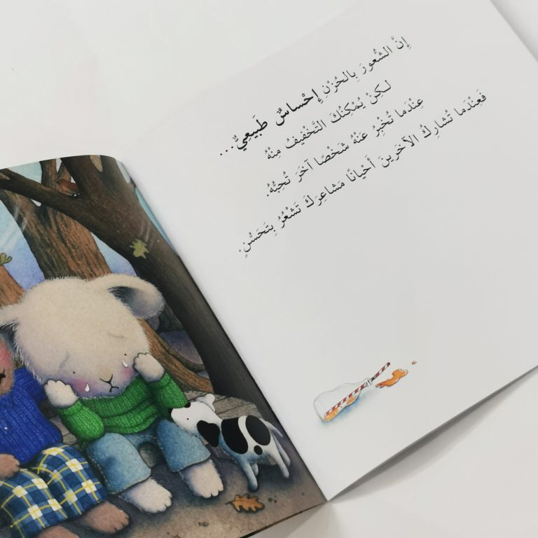 سلسلة المشاعر