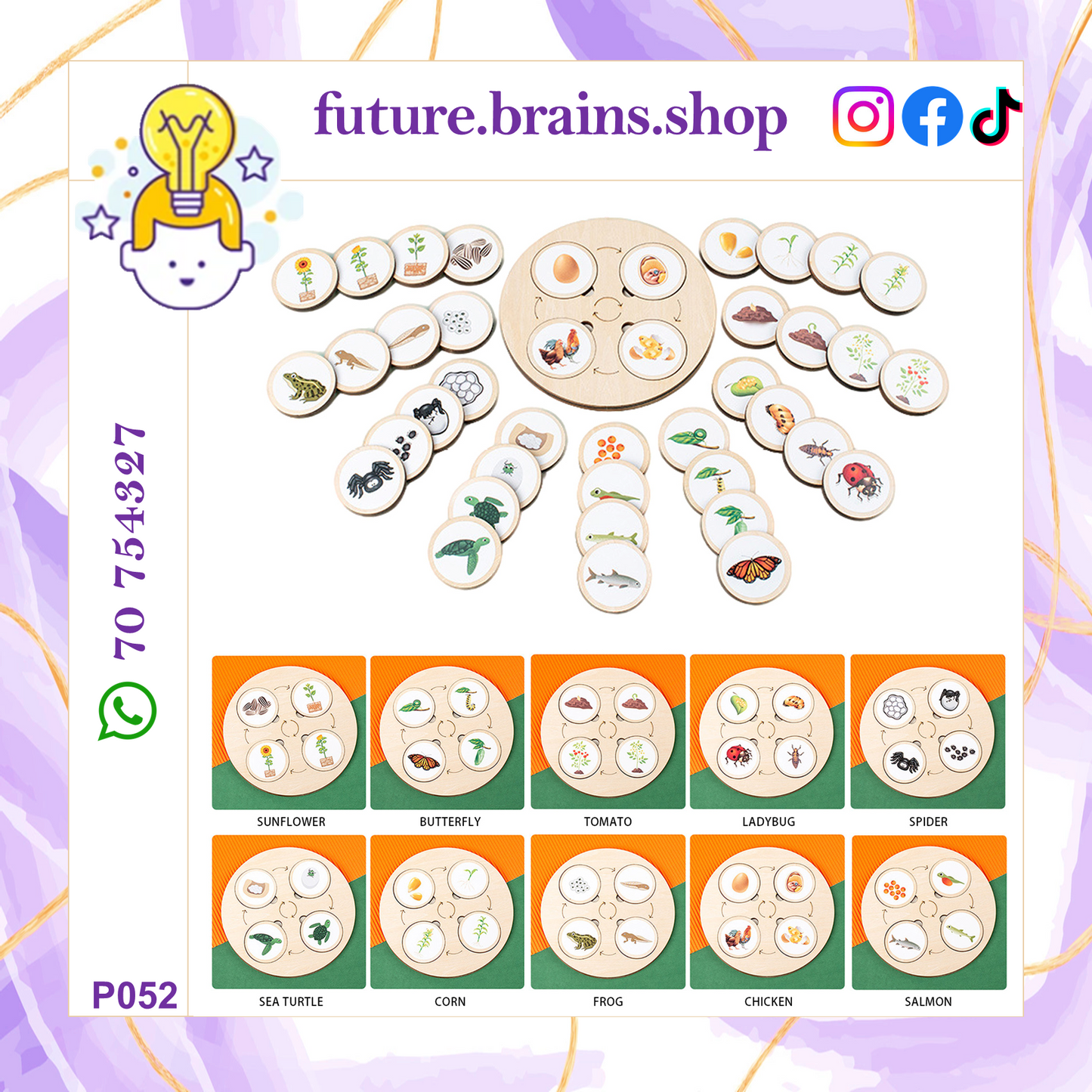 P052 - Montessori life cycle puzzle