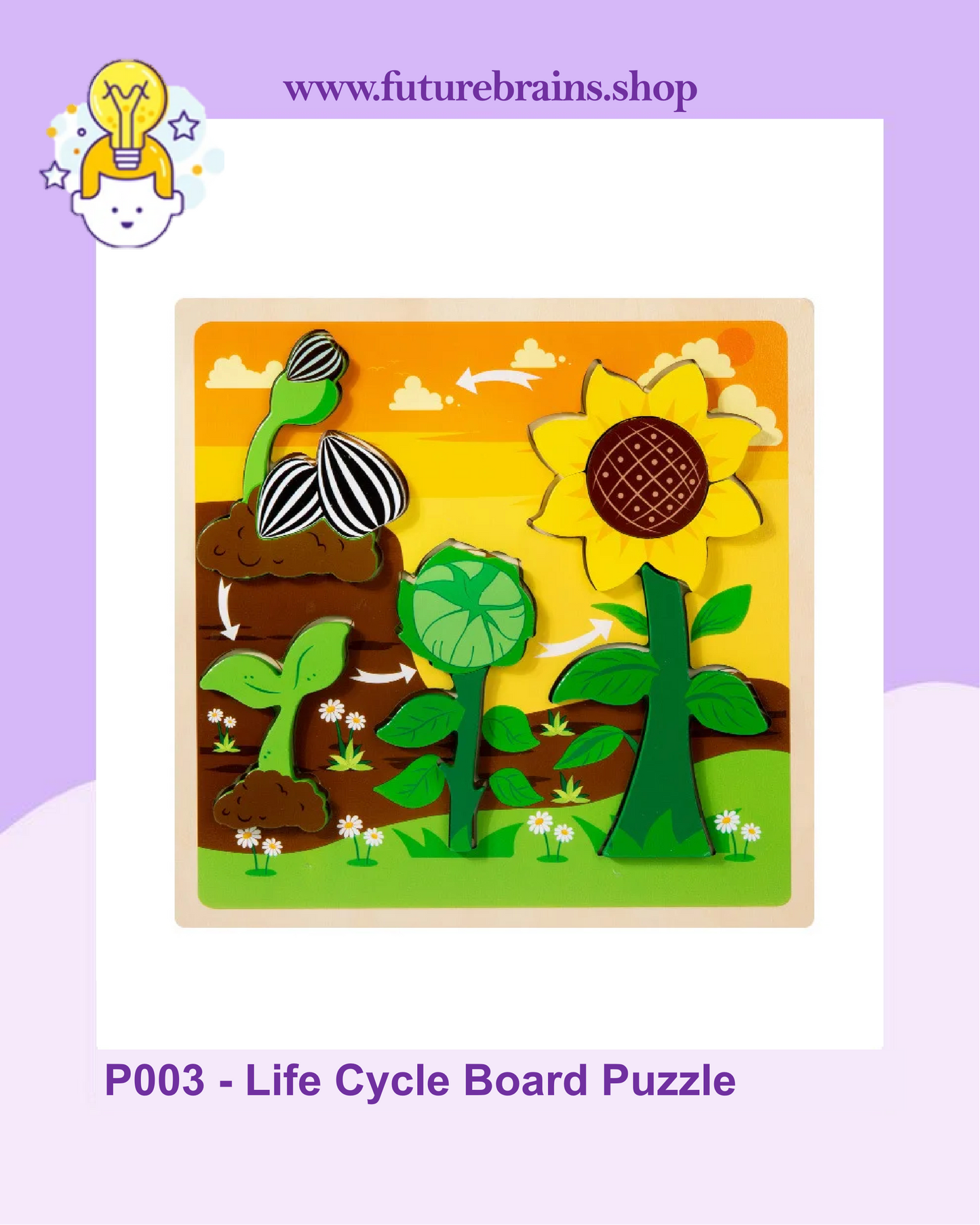 P003 - Life Cycle Board Puzzle