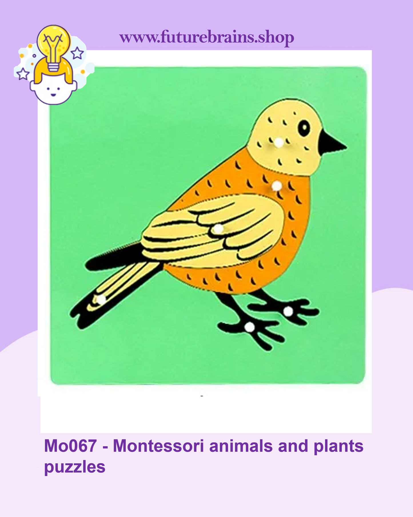 Mo067 - Montessori animals and plants puzzles