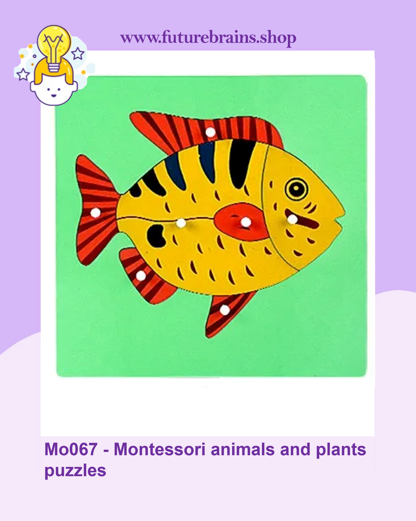 Mo067 - Montessori animals and plants puzzles