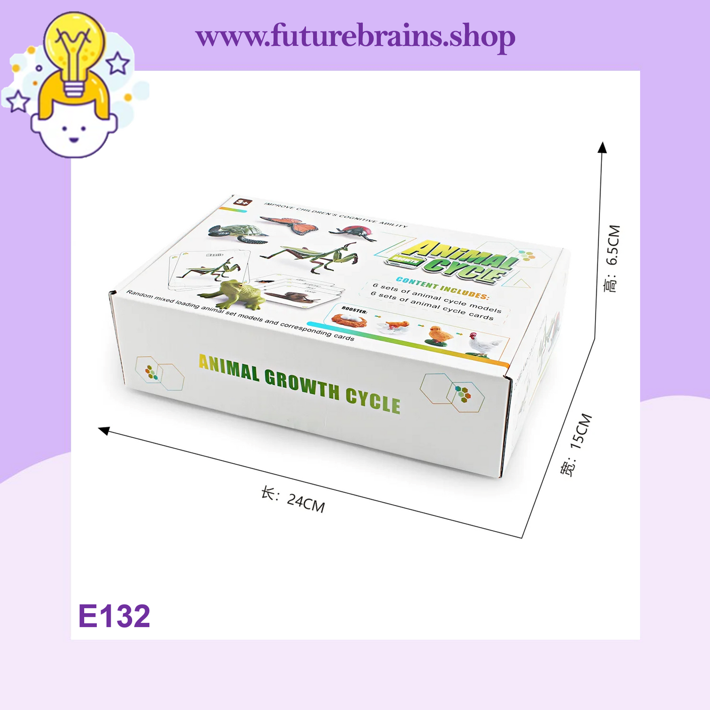E132 - Animal cycle