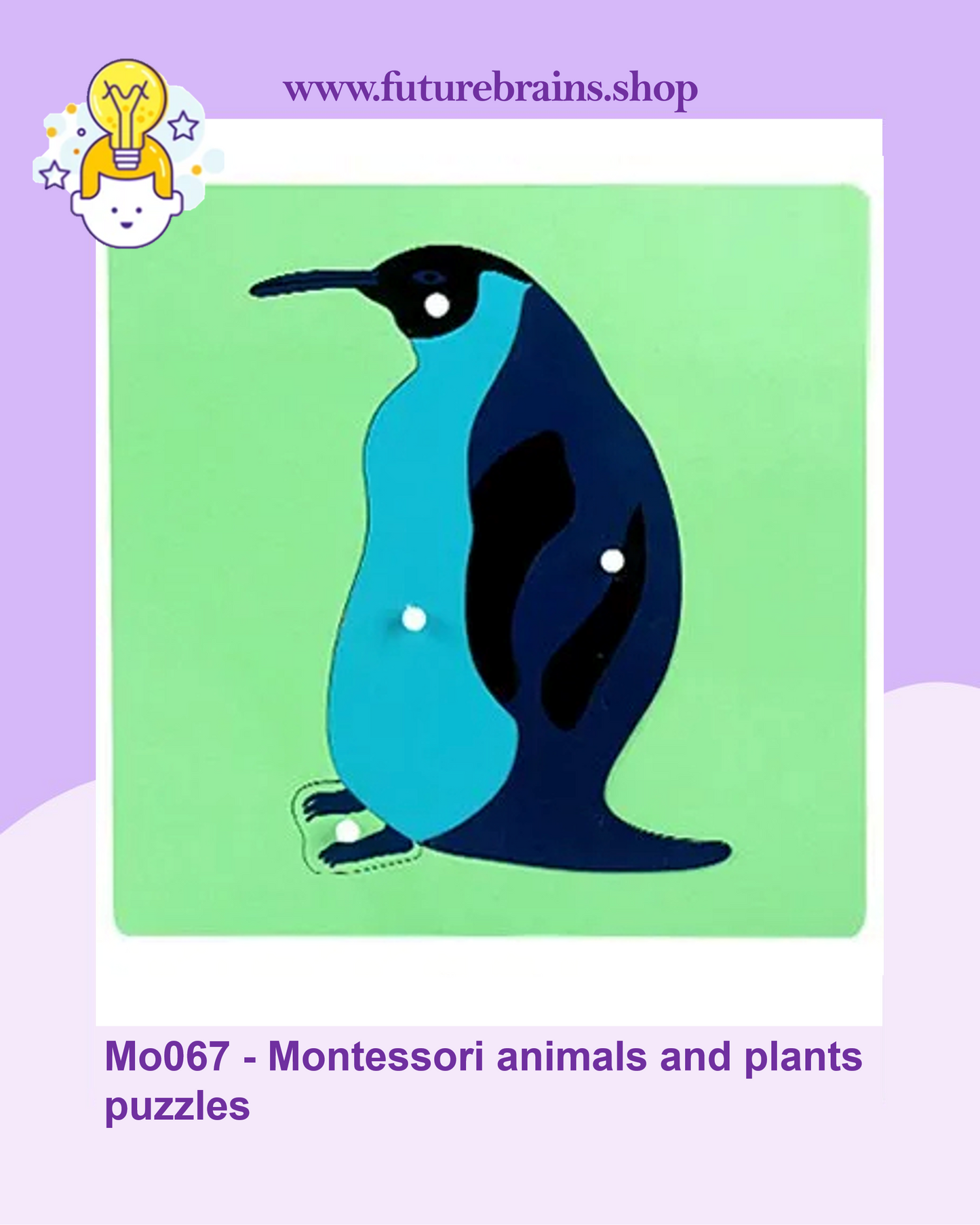 Mo067 - Montessori animals and plants puzzles