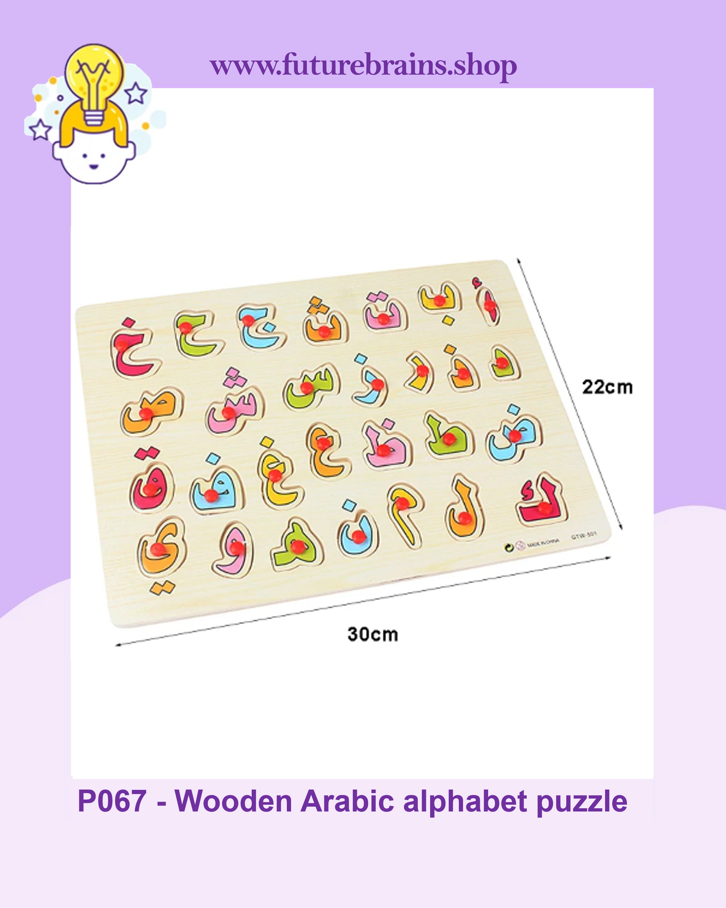P067 - Wooden Arabic alphabet puzzle