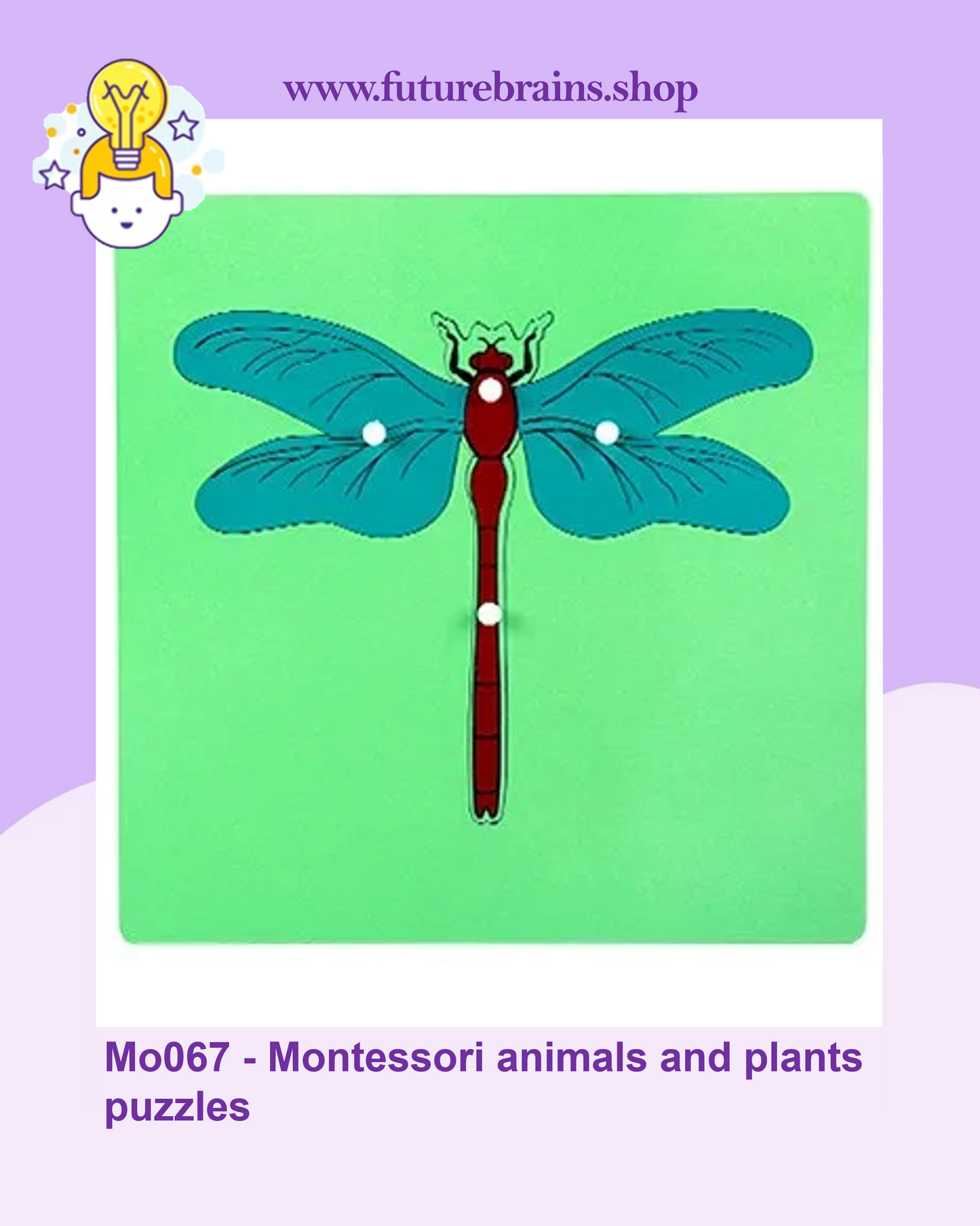 Mo067 - Montessori animals and plants puzzles