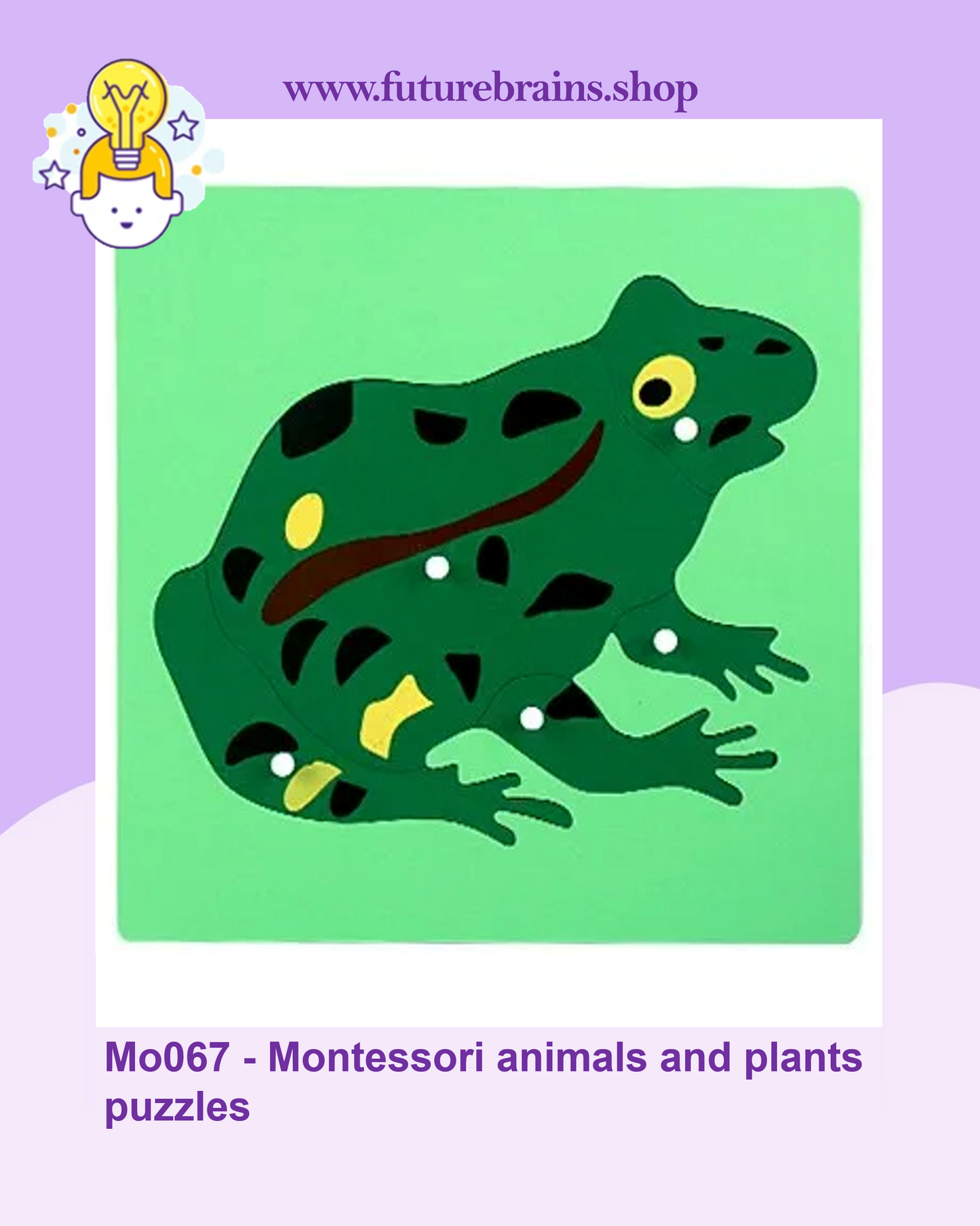 Mo067 - Montessori animals and plants puzzles