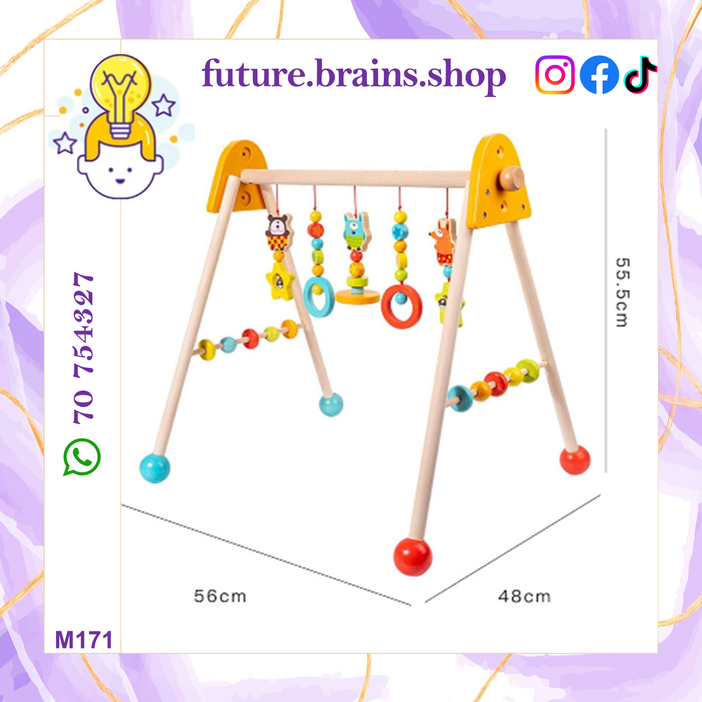 M171 - Baby Gym Play Toy