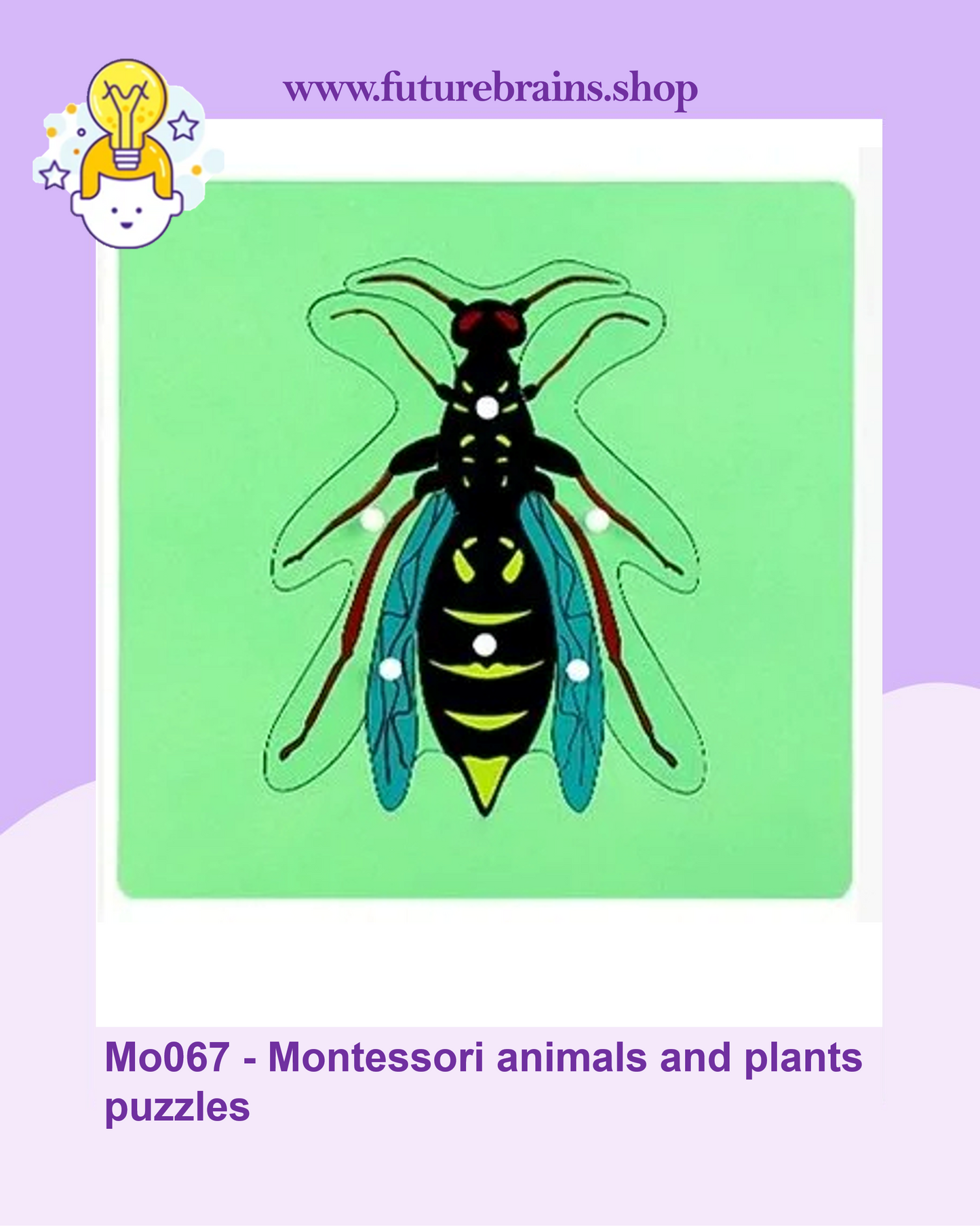 Mo067 - Montessori animals and plants puzzles