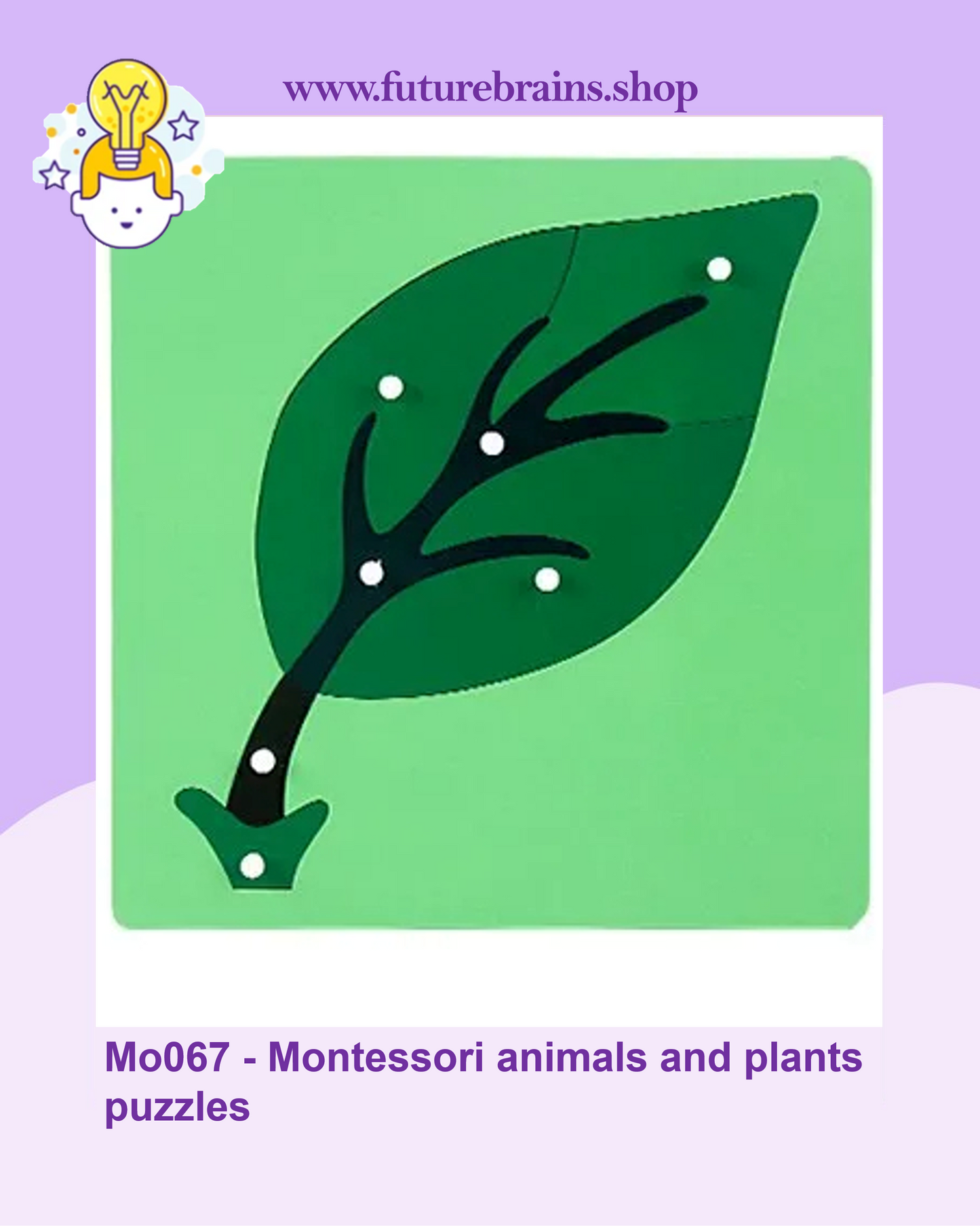Mo067 - Montessori animals and plants puzzles