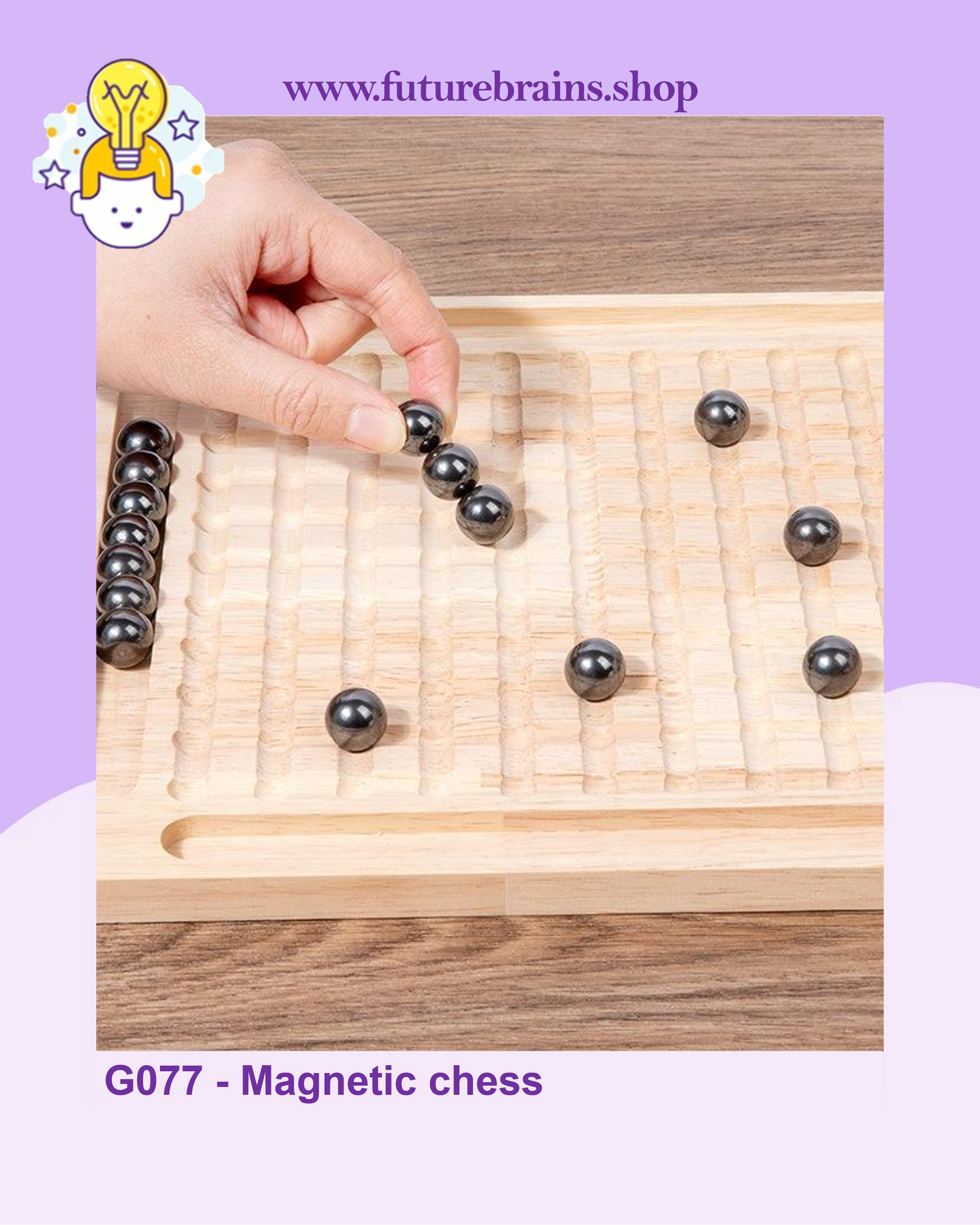G077 - Magnetic chess