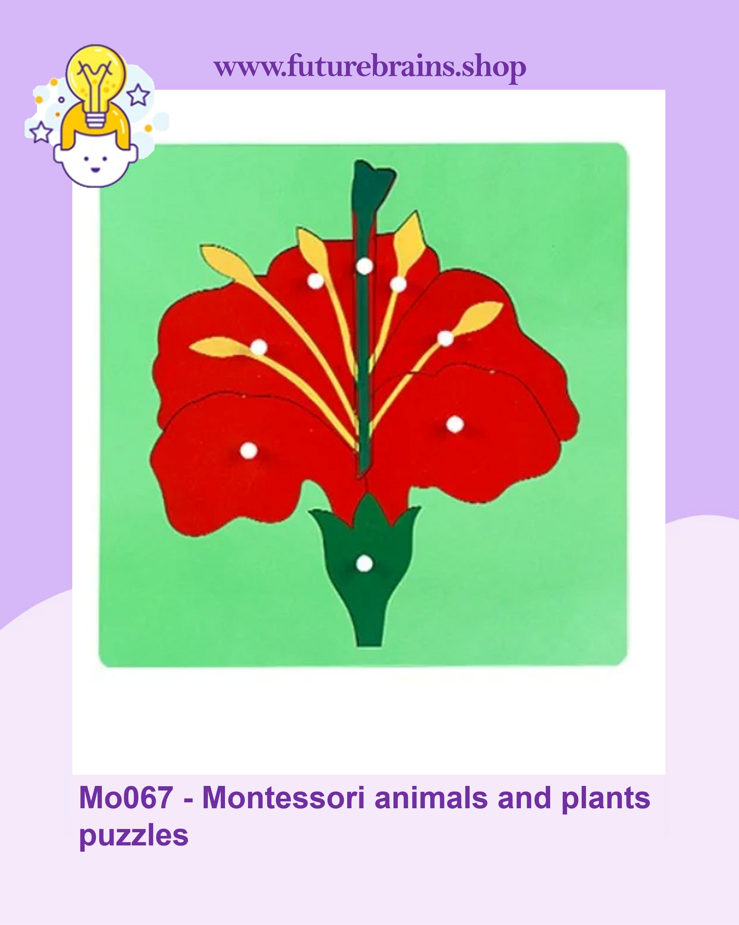 Mo067 - Montessori animals and plants puzzles