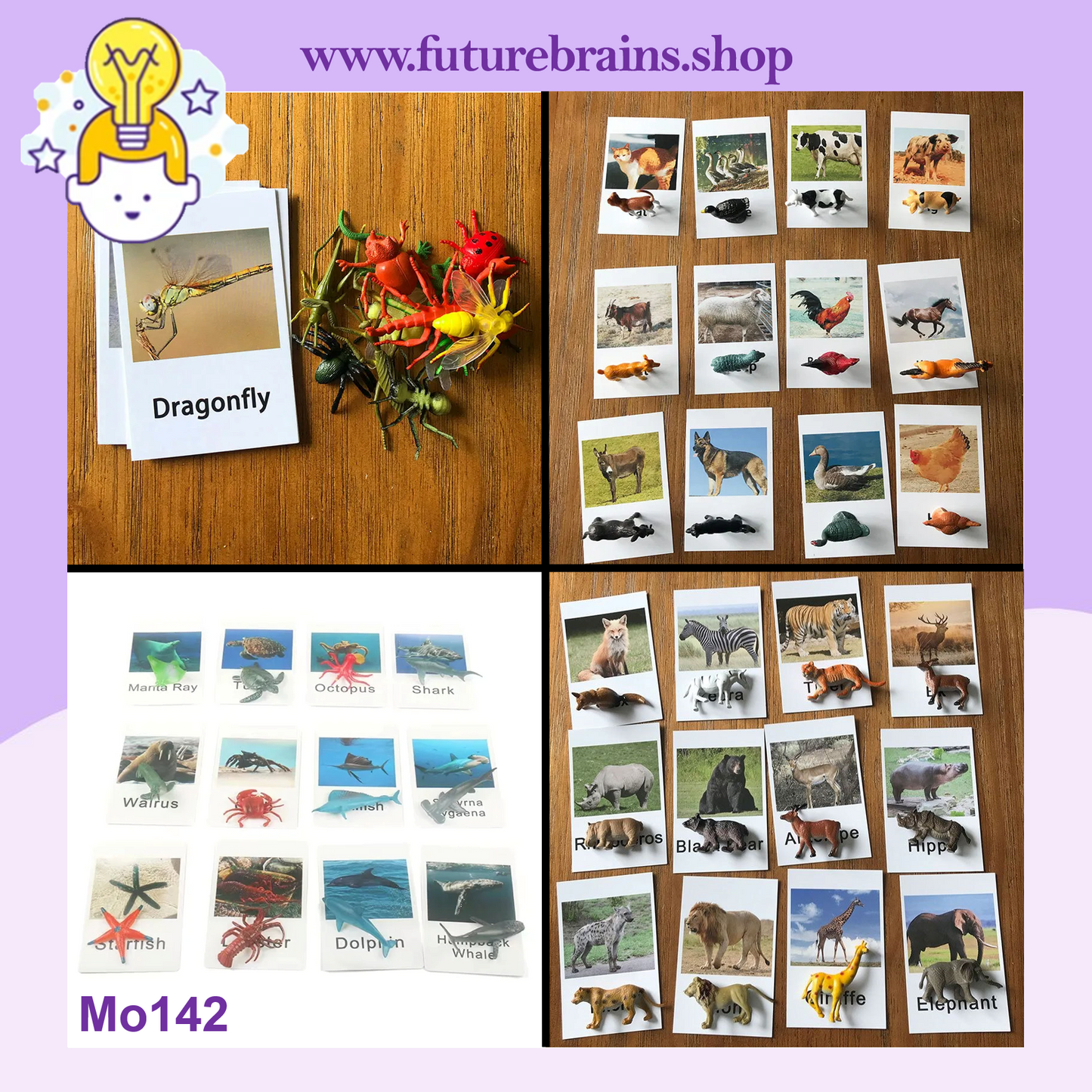 Montessori animal match cards