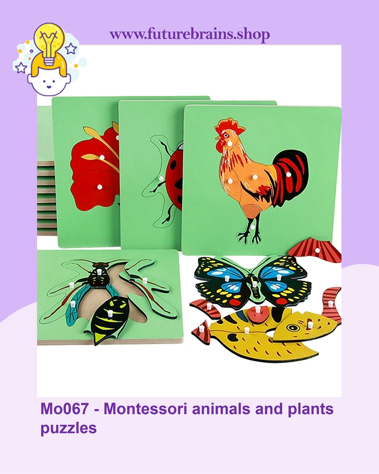 Mo067 - Montessori animals and plants puzzles