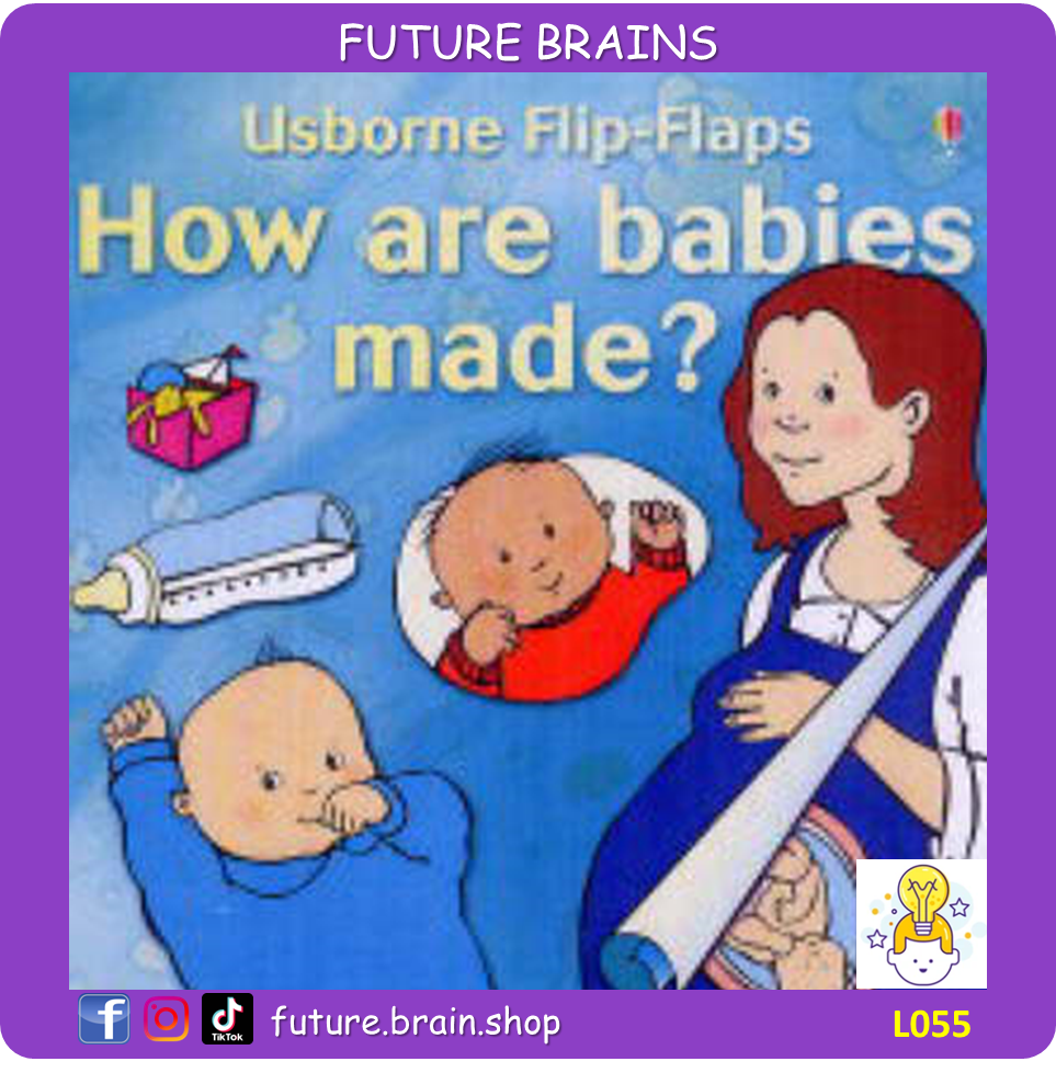 L055 - Usborne Flip-Flaps - How are babies made