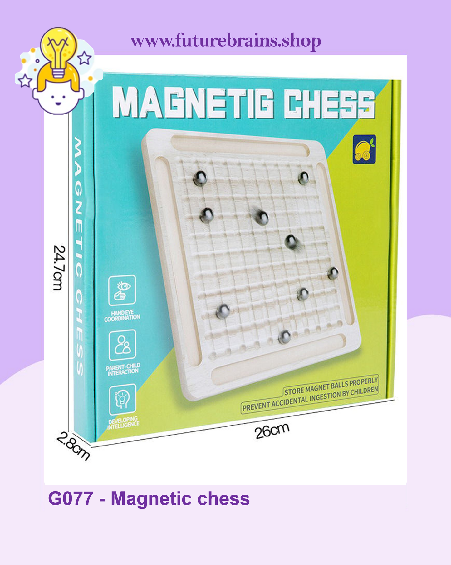 G077 - Magnetic chess