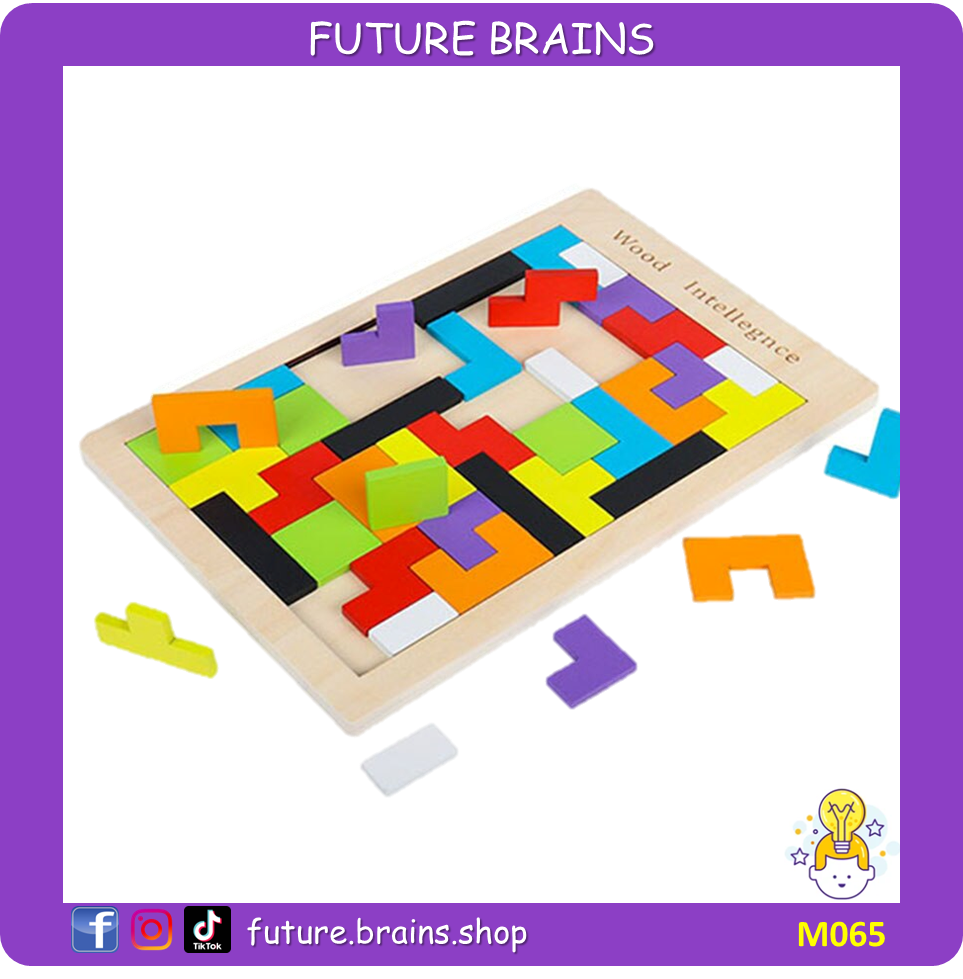 M065 - Wood intelligence puzzle