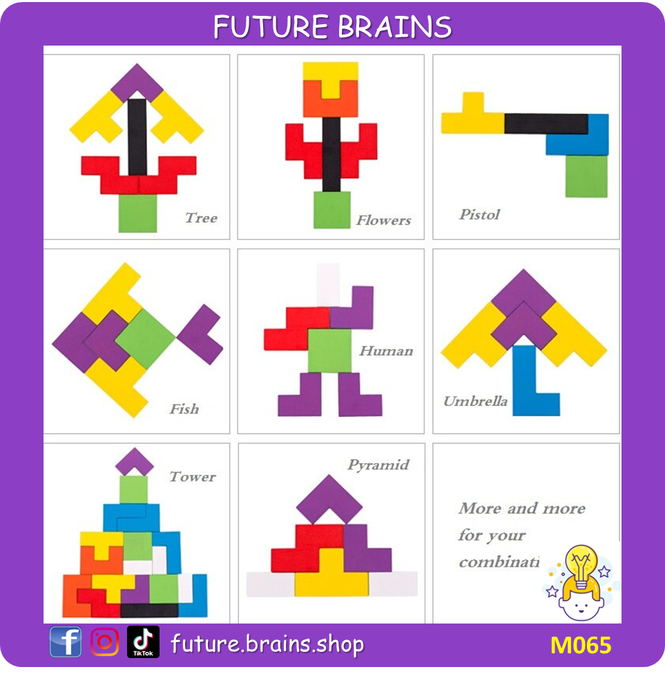 M065 - Wood intelligence puzzle