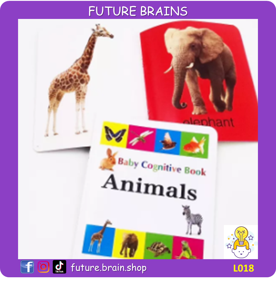 L018 - Baby cognitive books (Vehicles)