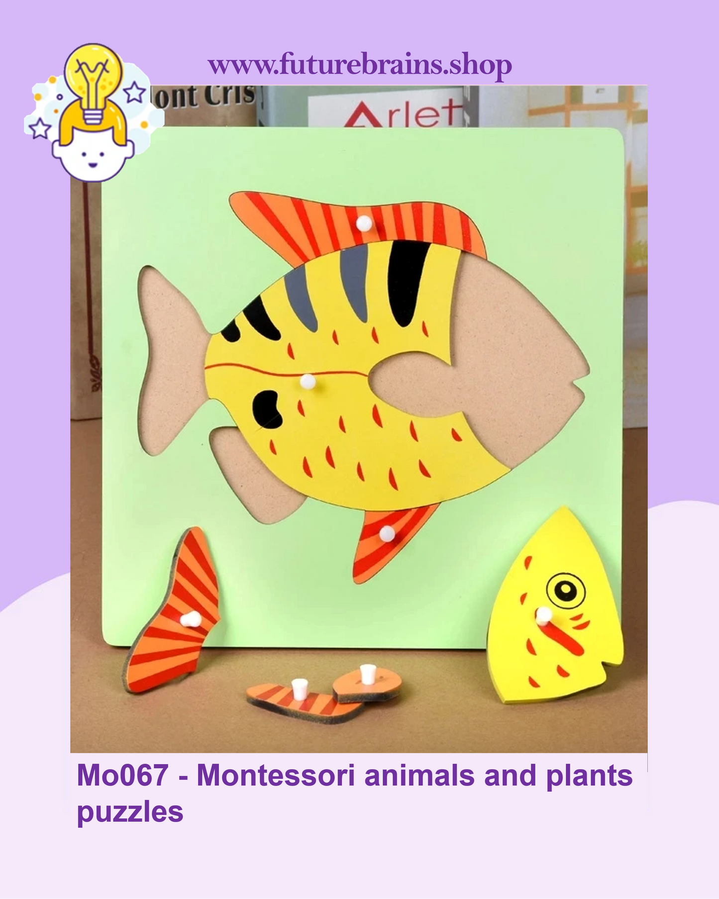 Mo067 - Montessori animals and plants puzzles