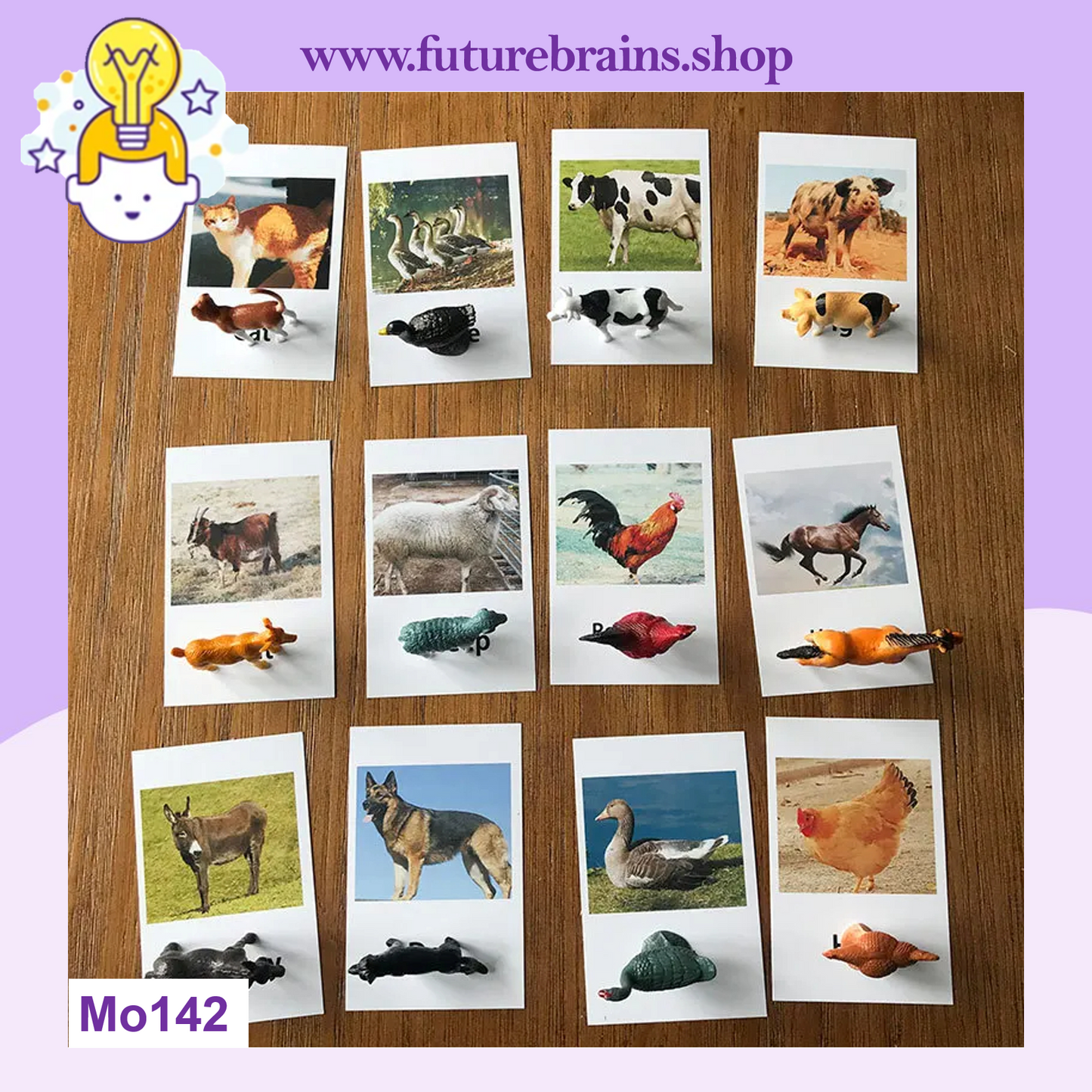 Montessori animal match cards