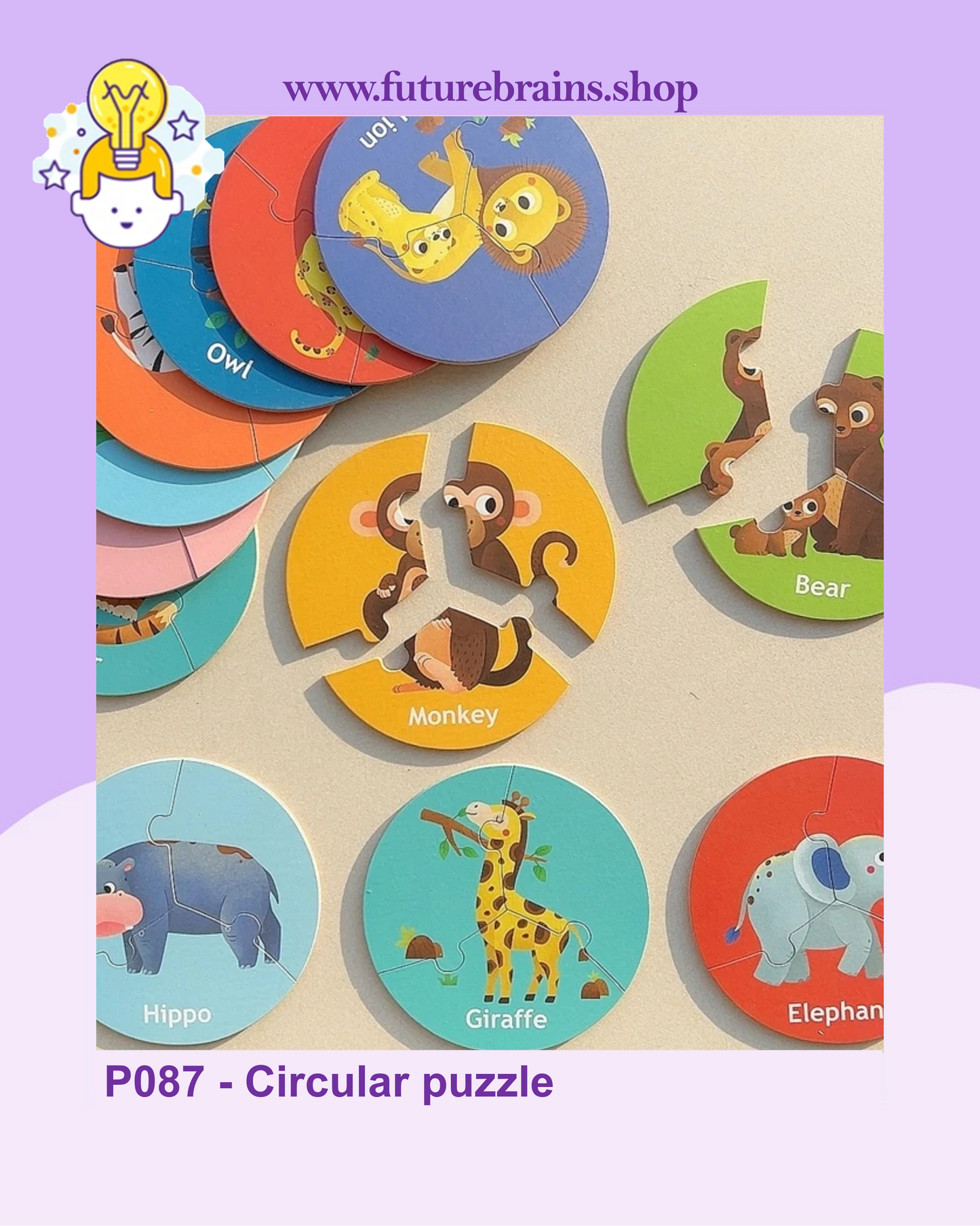 P087 - Circular puzzle