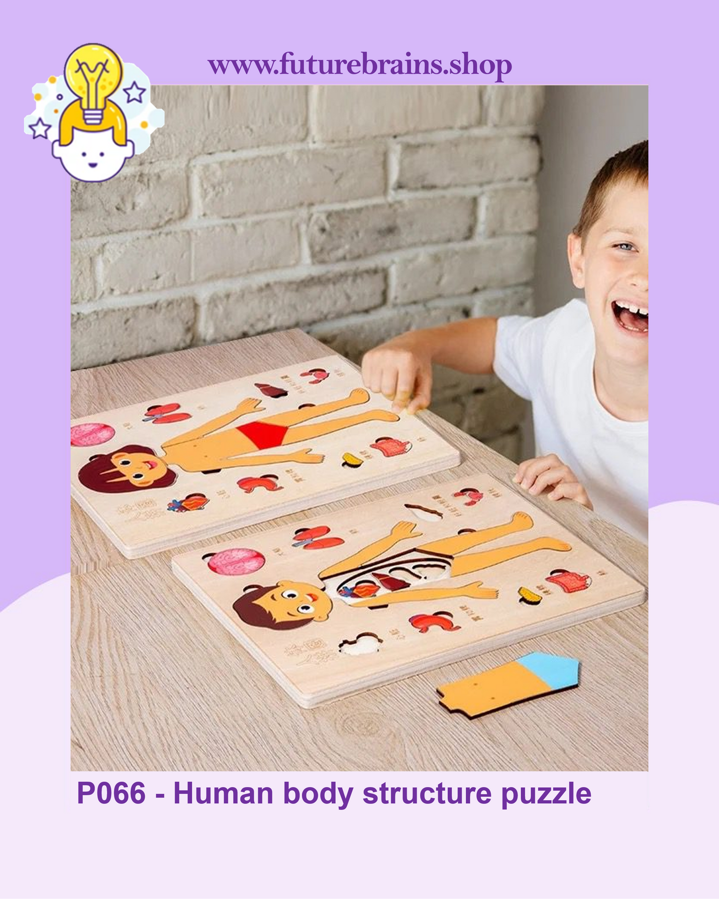 P066 - Human body structure puzzle