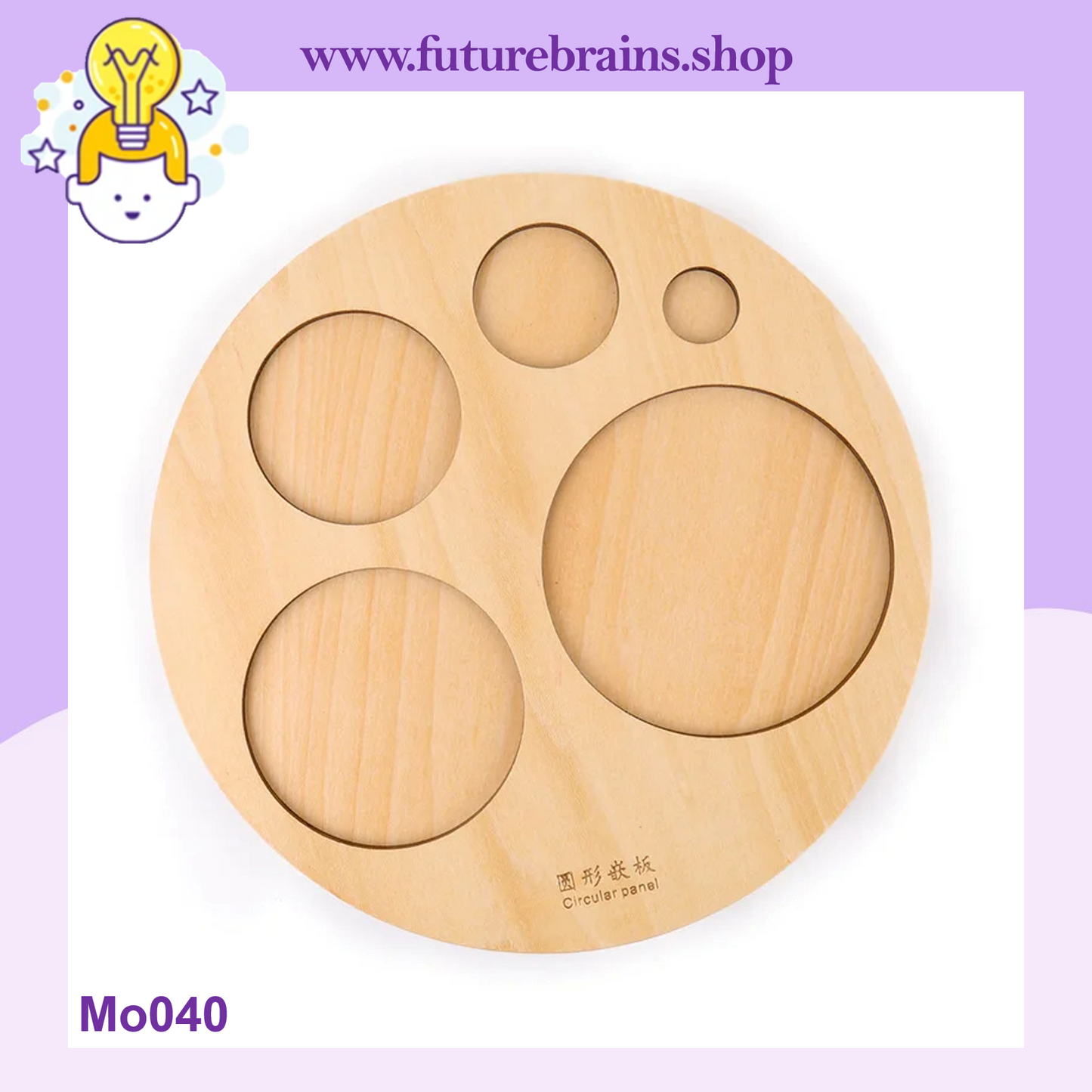 Mo040 - Montessori circles sorting puzzle