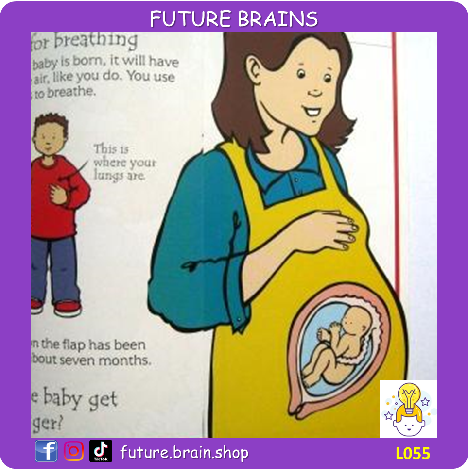 L055 - Usborne Flip-Flaps - How are babies made