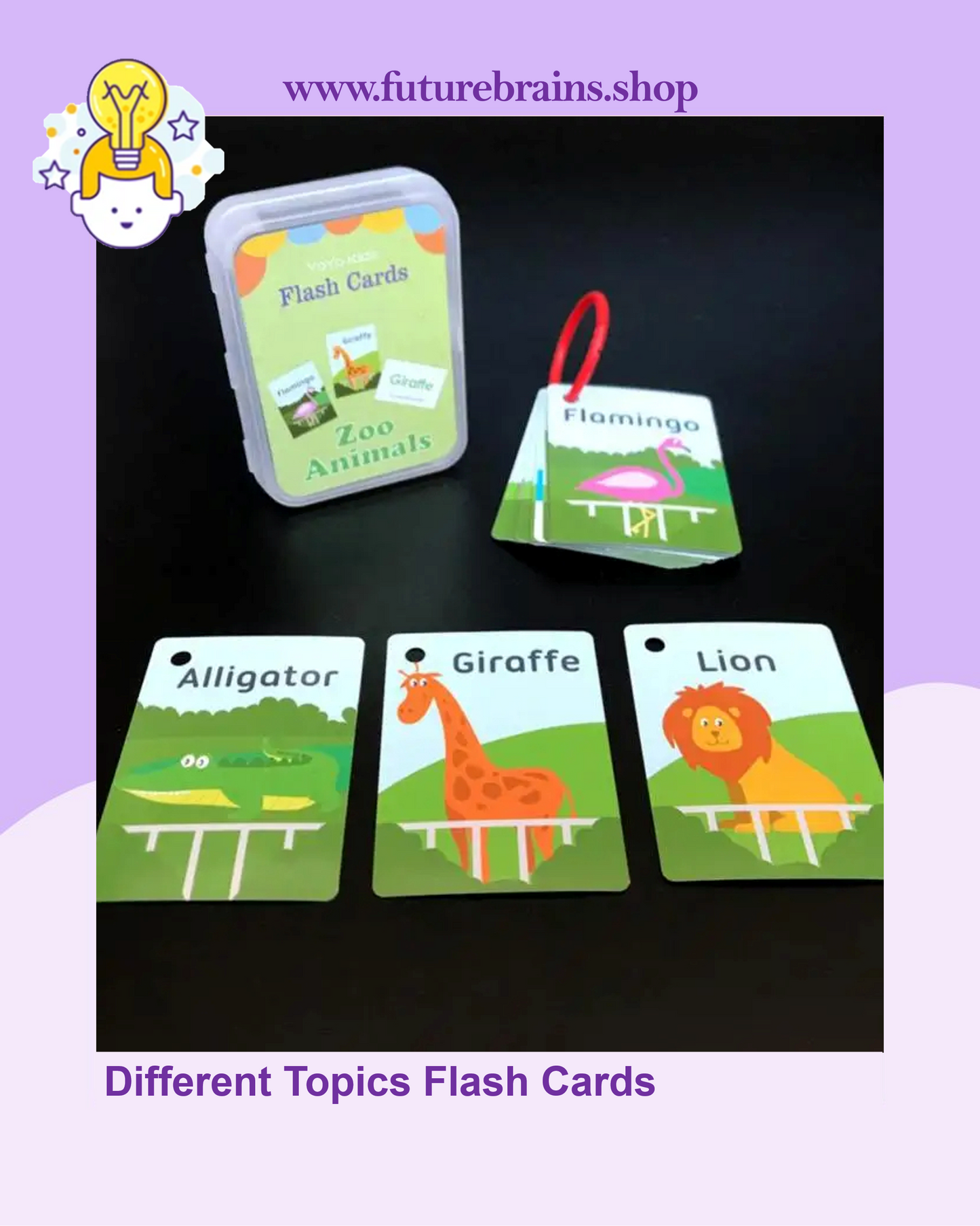 Different Topics Flash Cards (Buy 7 boxes Get 1 FREE)