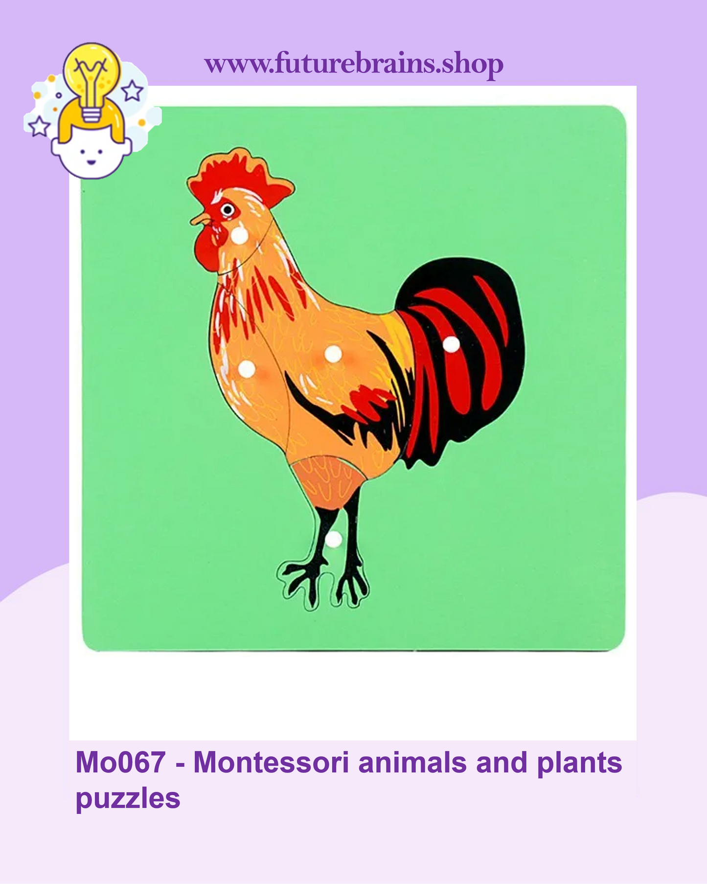 Mo067 - Montessori animals and plants puzzles