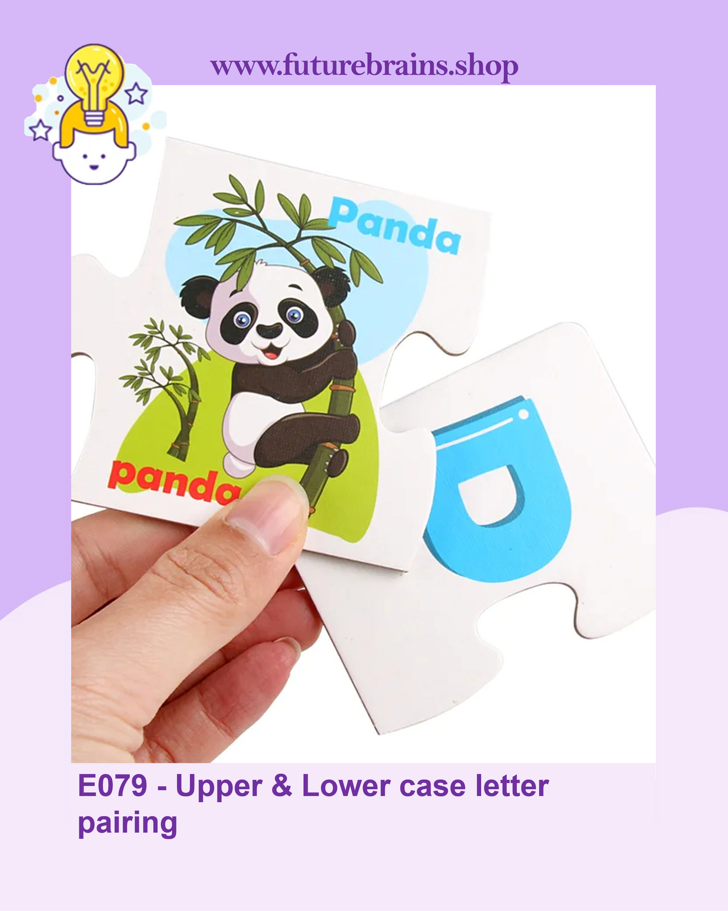 E079 - Upper & Lower case letter pairing