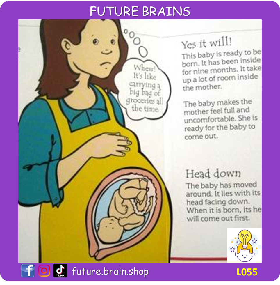 L055 - Usborne Flip-Flaps - How are babies made