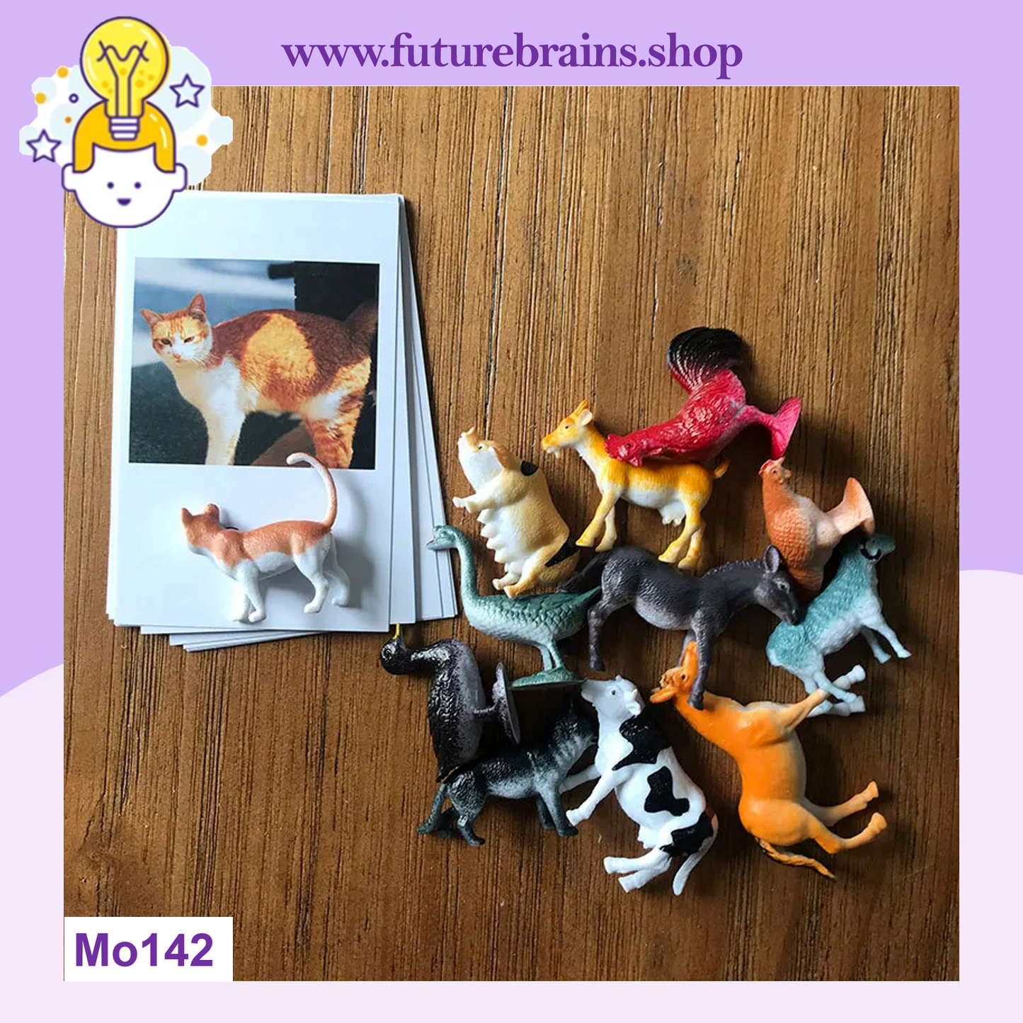 Montessori animal match cards