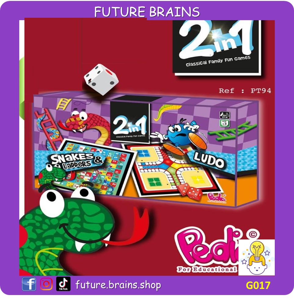 G017 - 2 in 1 classic family fun games