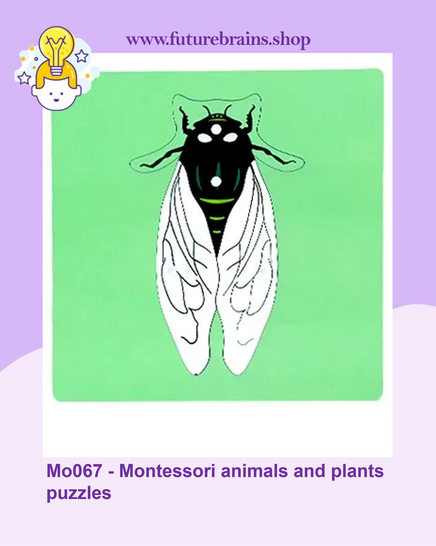 Mo067 - Montessori animals and plants puzzles