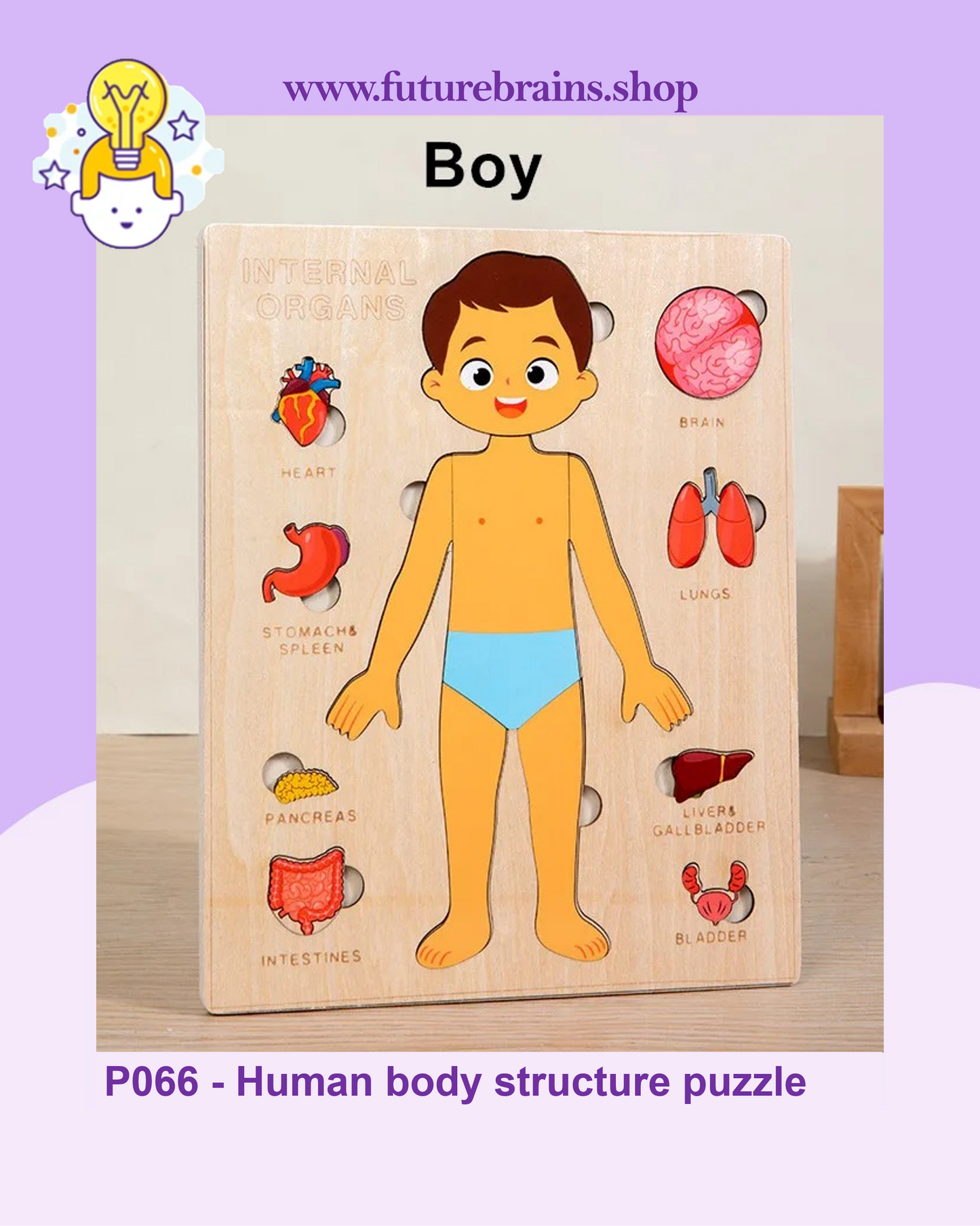 P066 - Human body structure puzzle