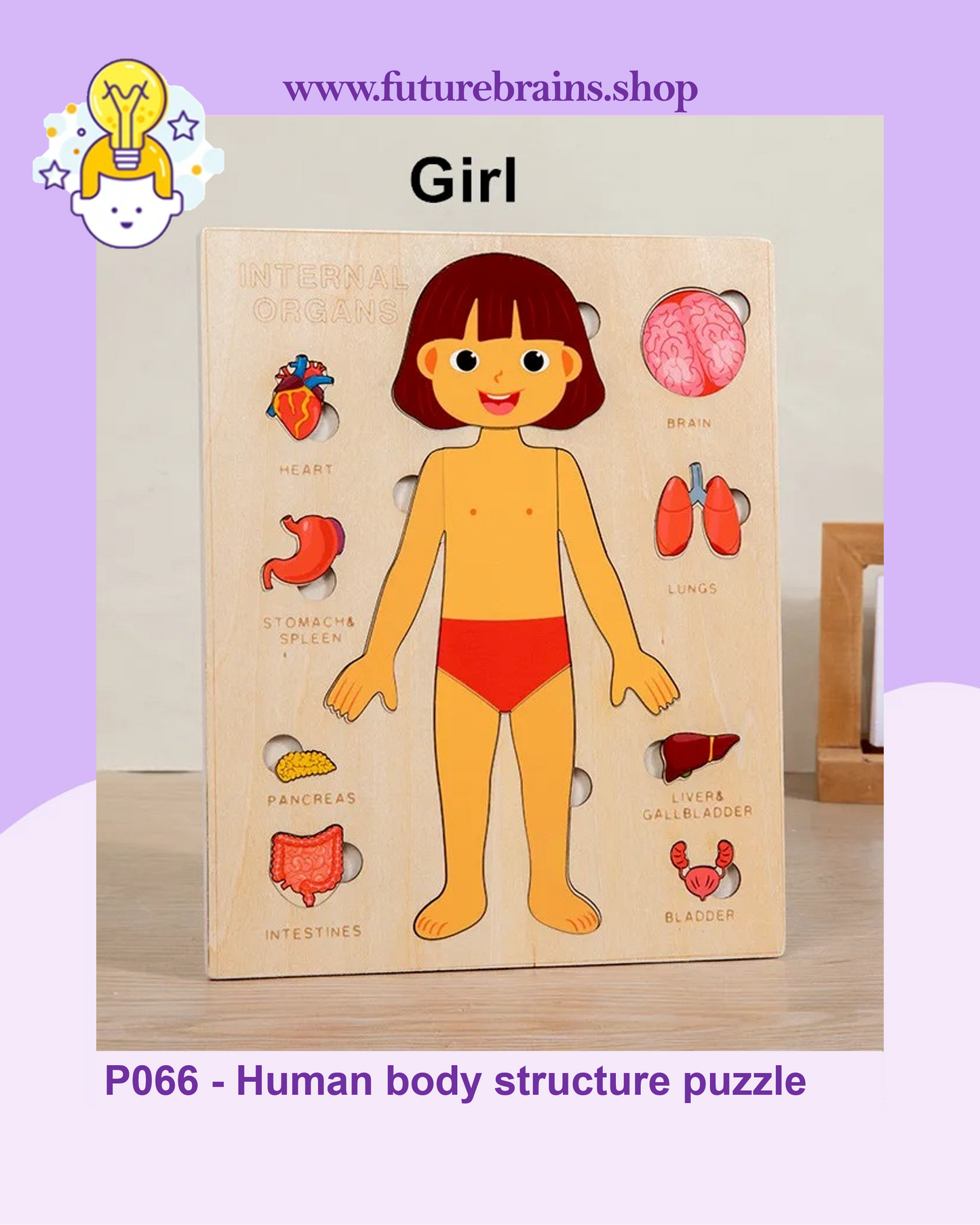 P066 - Human body structure puzzle
