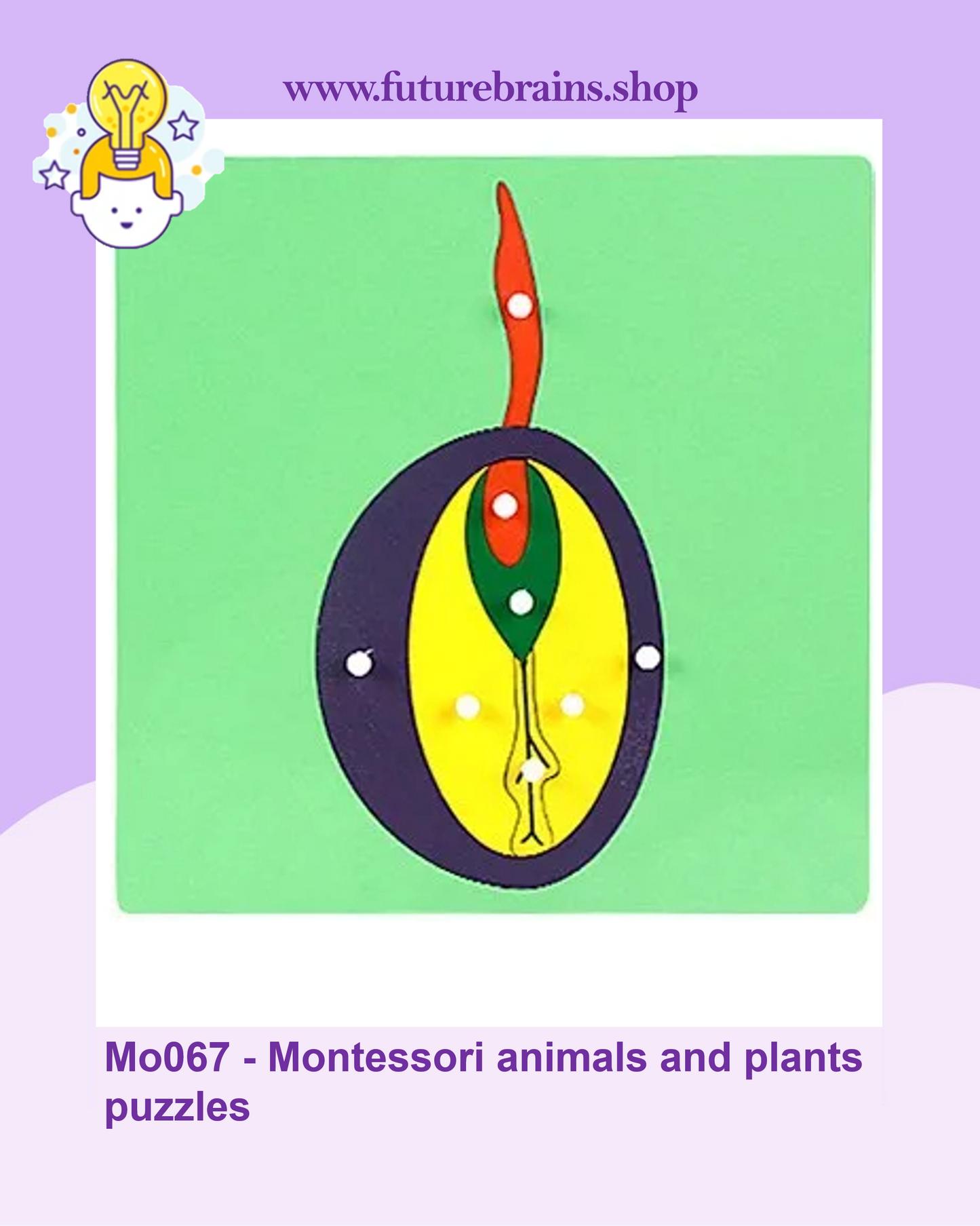 Mo067 - Montessori animals and plants puzzles