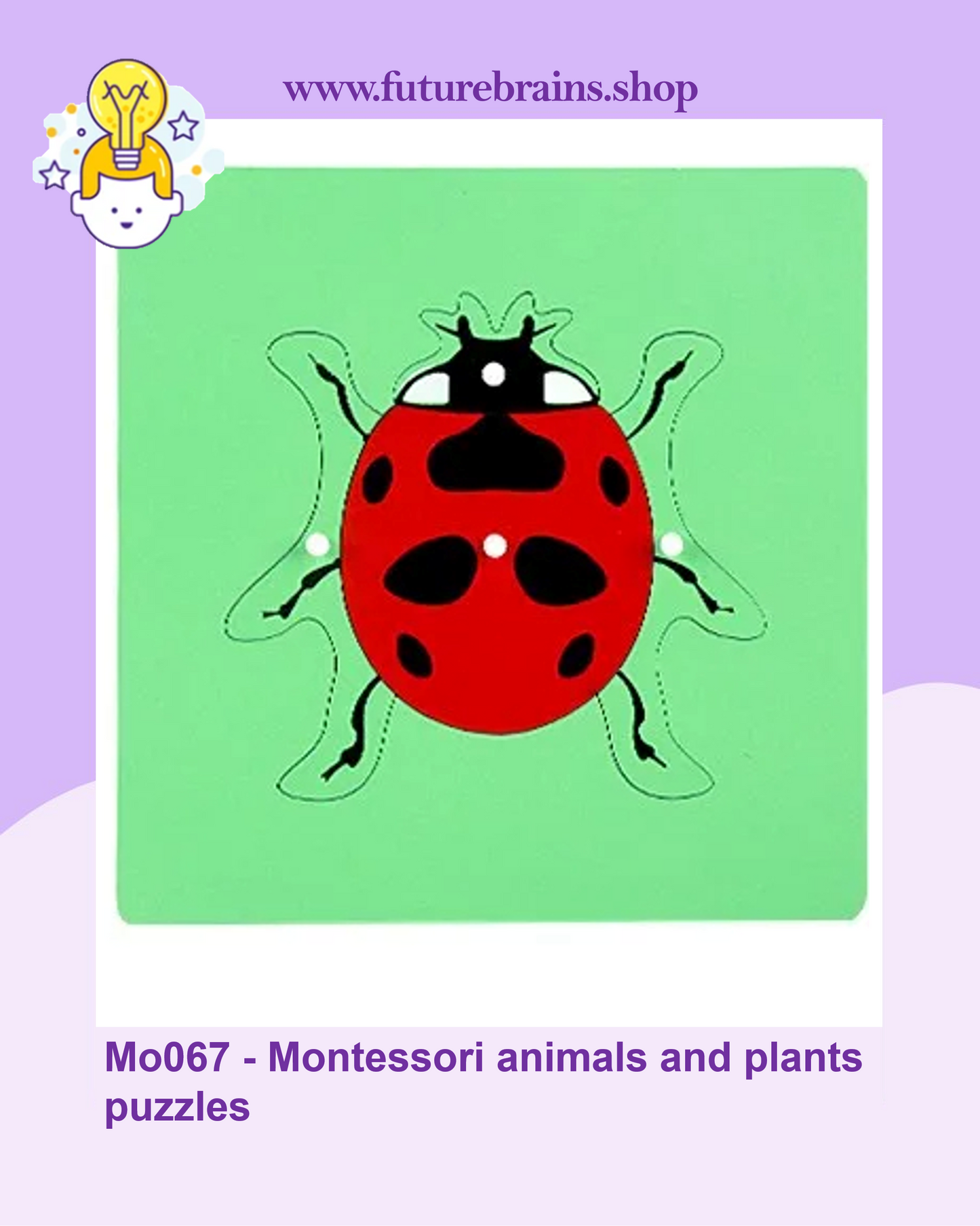 Mo067 - Montessori animals and plants puzzles