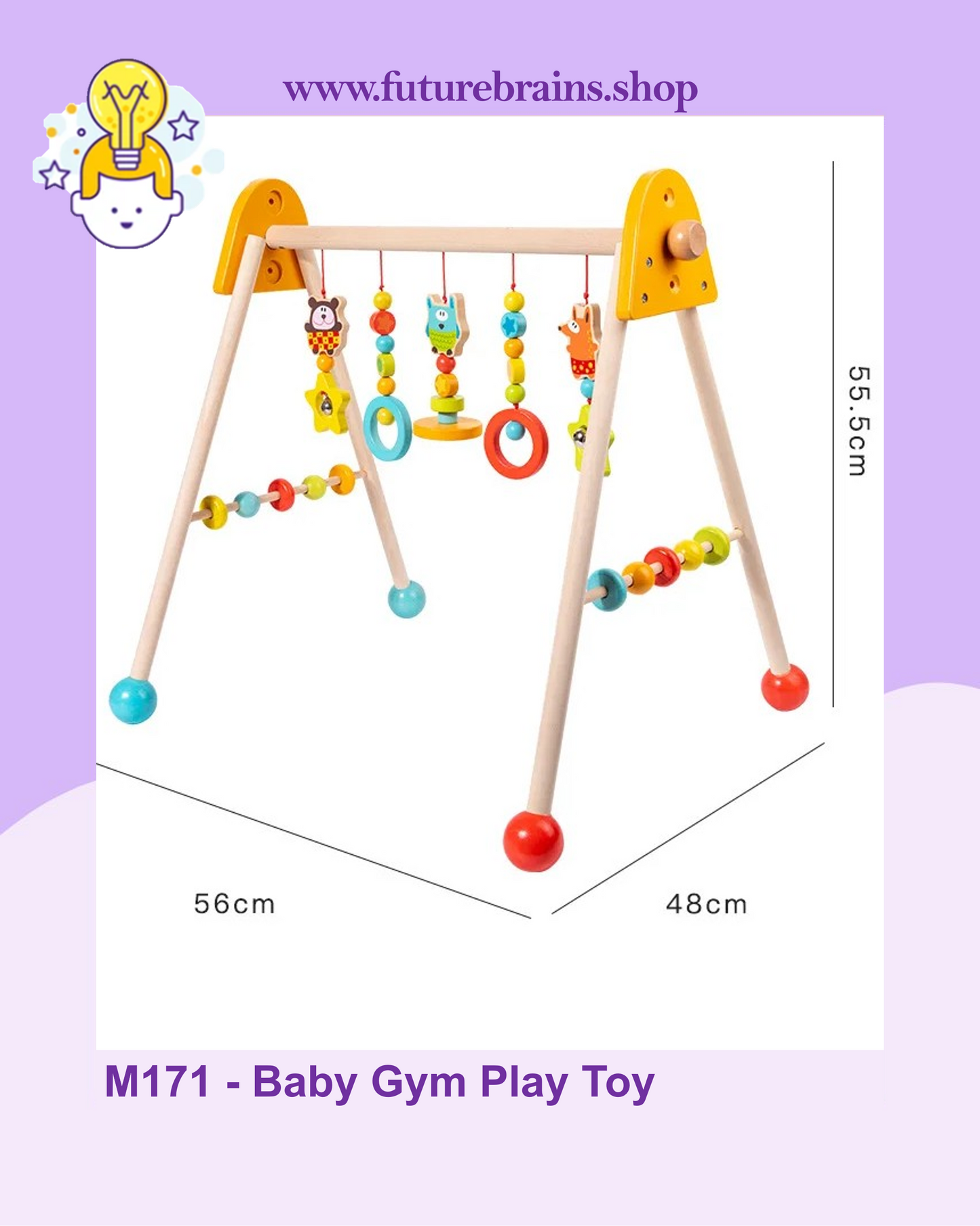 M171 - Baby Gym Play Toy