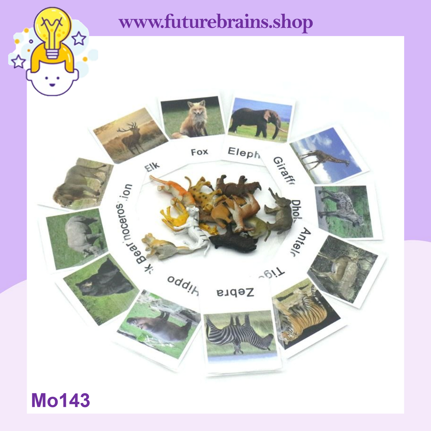 Montessori animal match cards