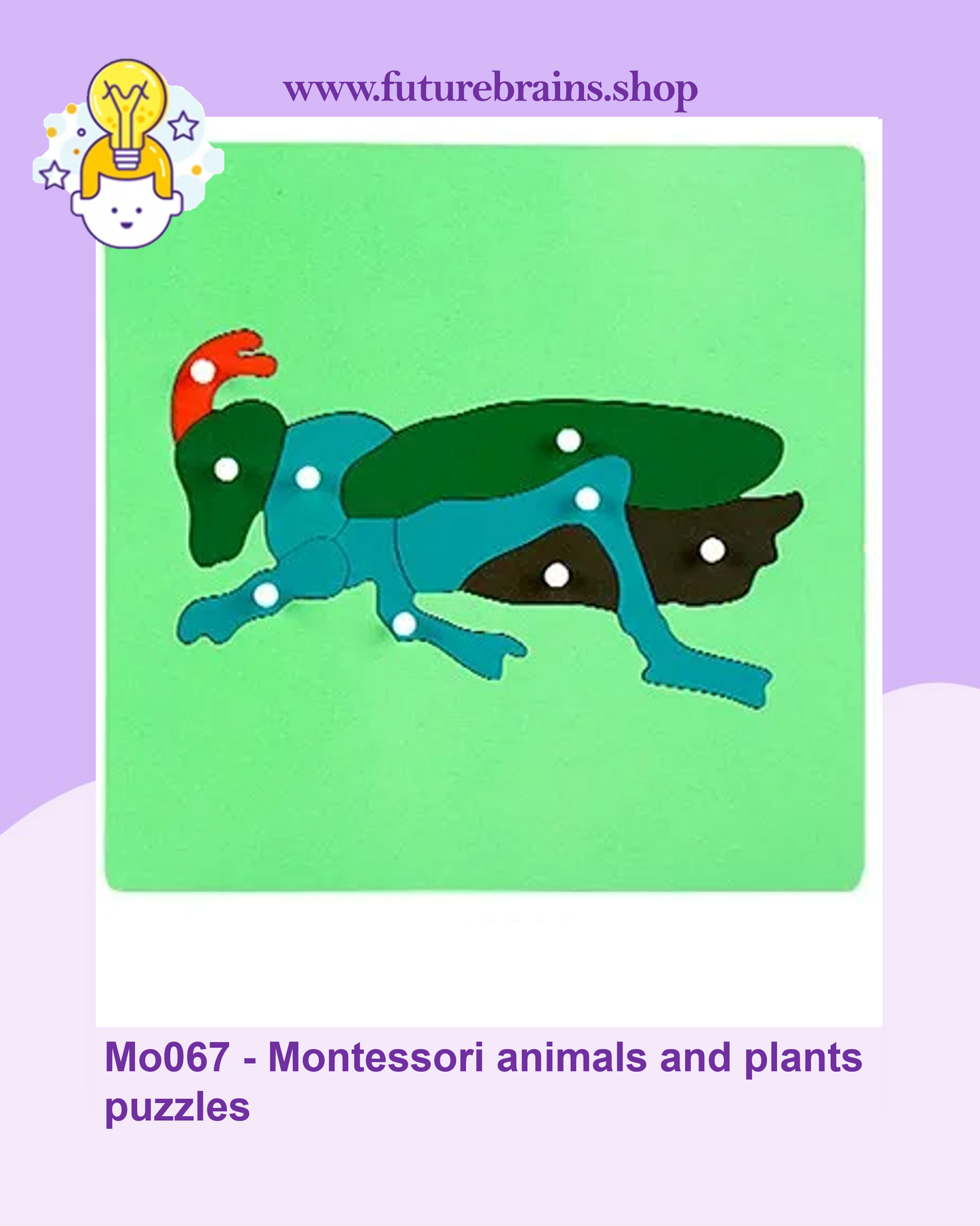 Mo067 - Montessori animals and plants puzzles