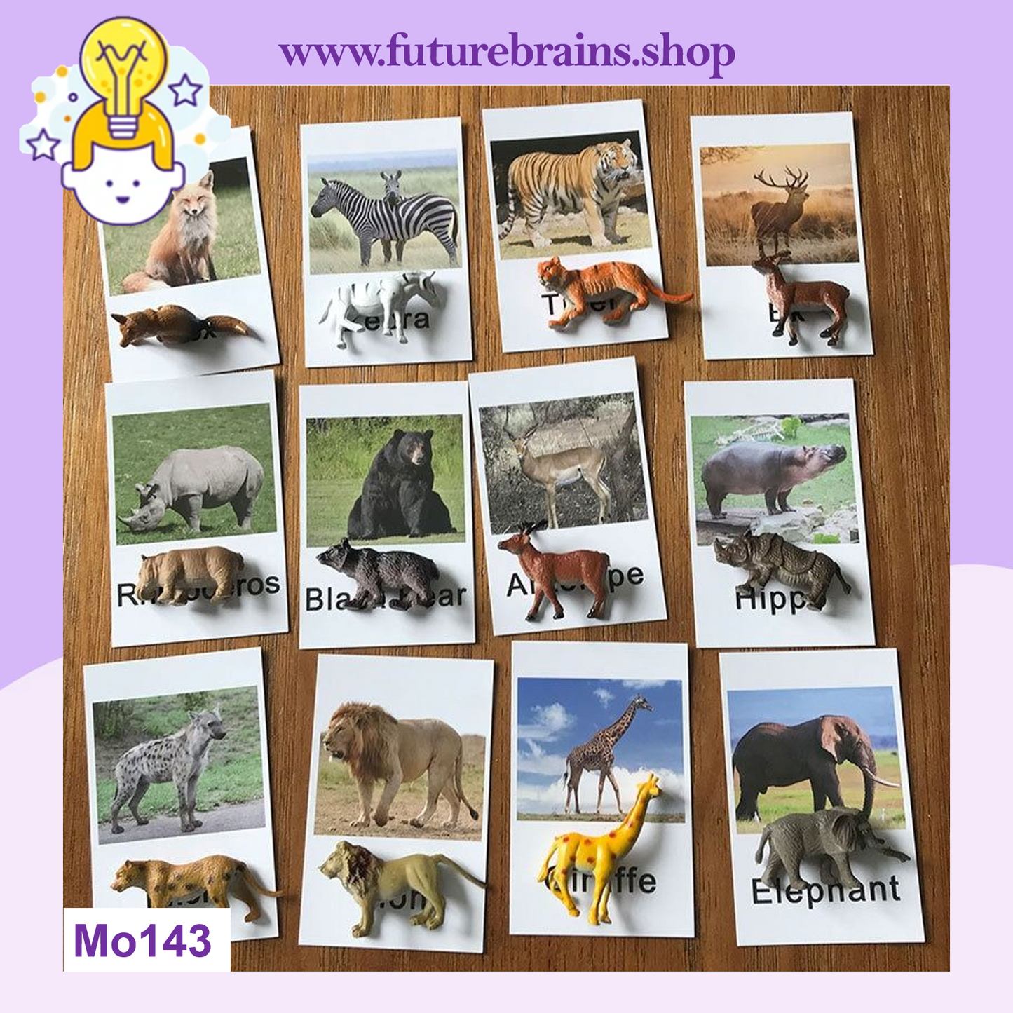 Montessori animal match cards