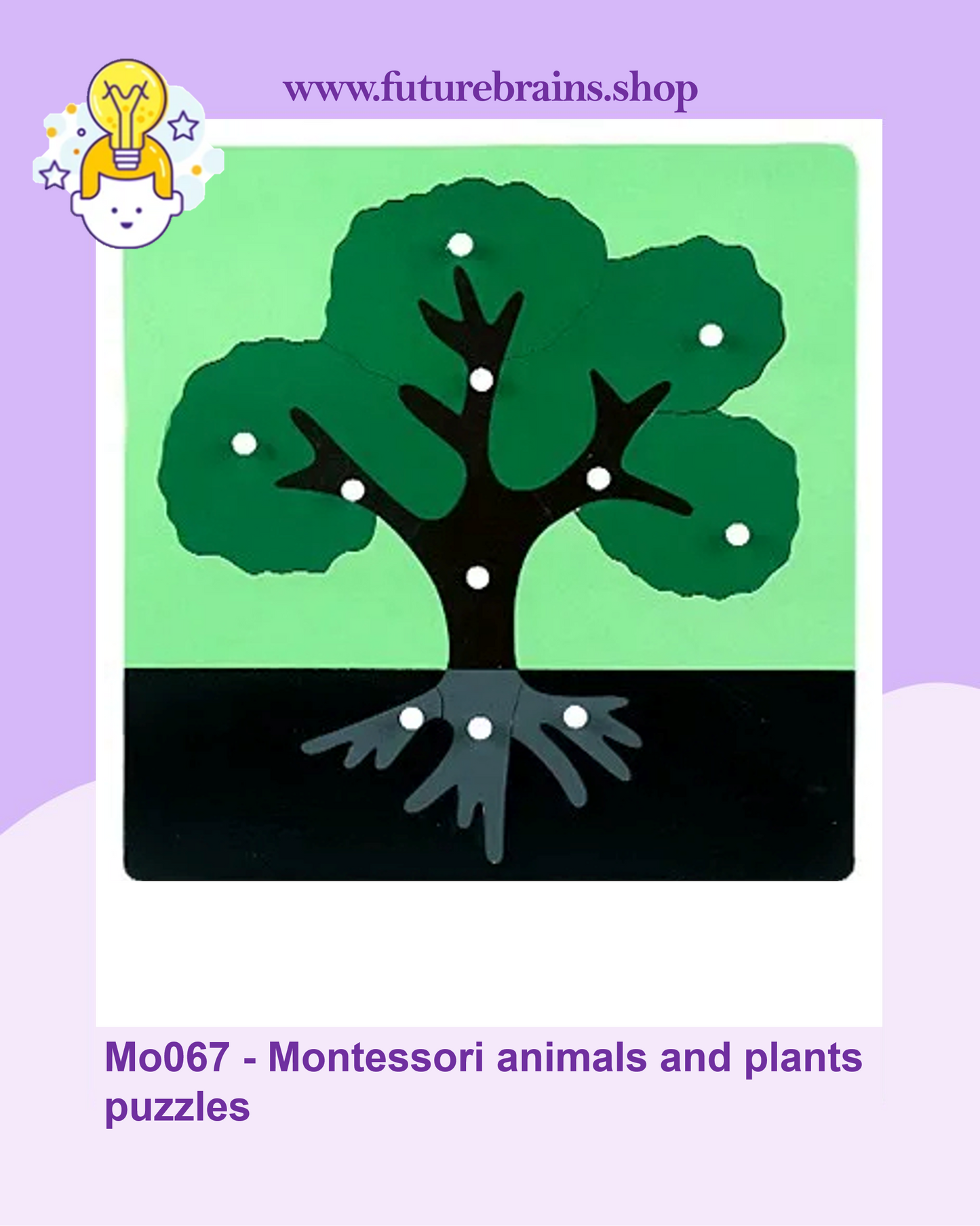 Mo067 - Montessori animals and plants puzzles